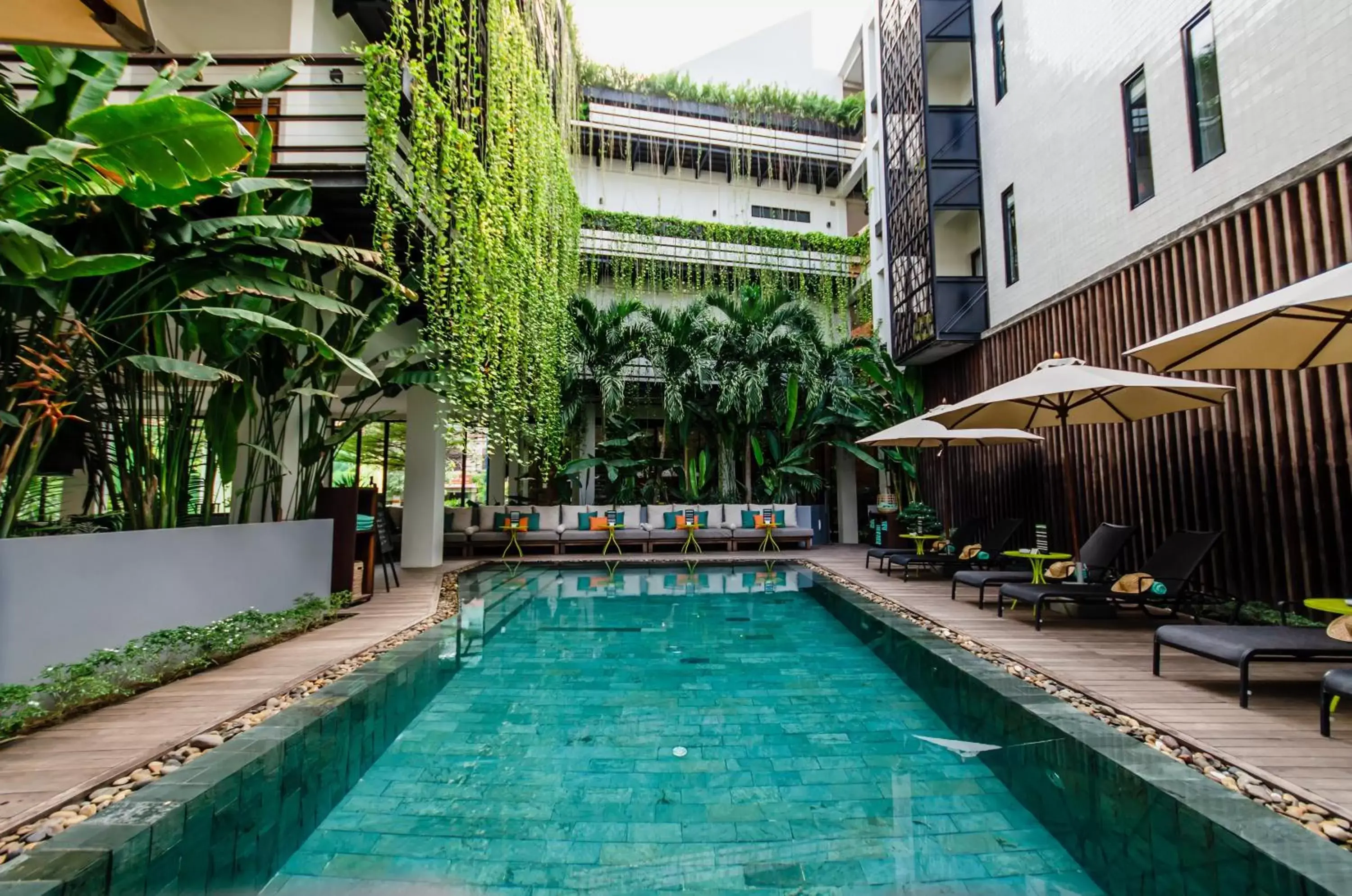 Swimming Pool in The Aviary Hotel