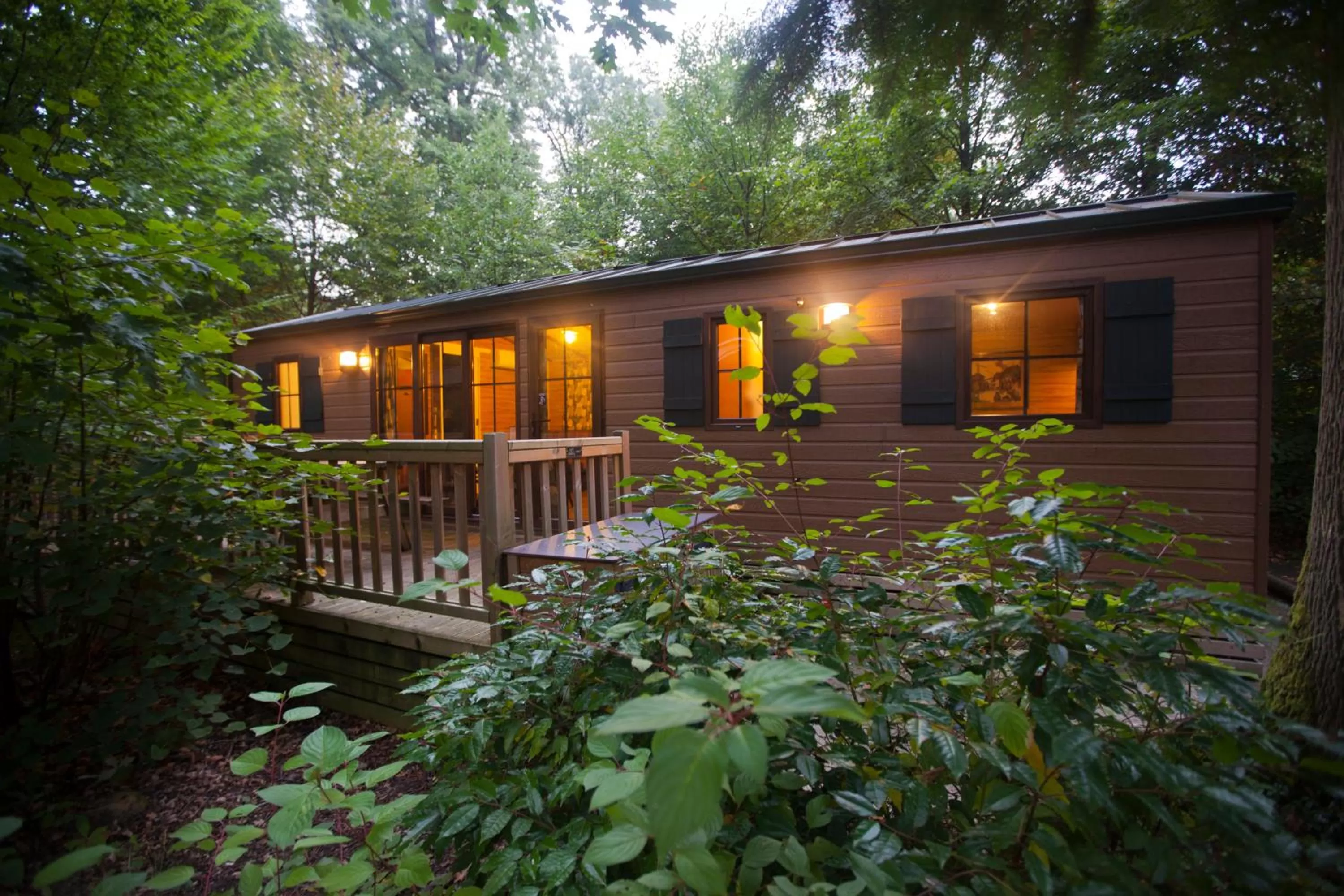 Balcony/Terrace in Disney Davy Crockett Ranch