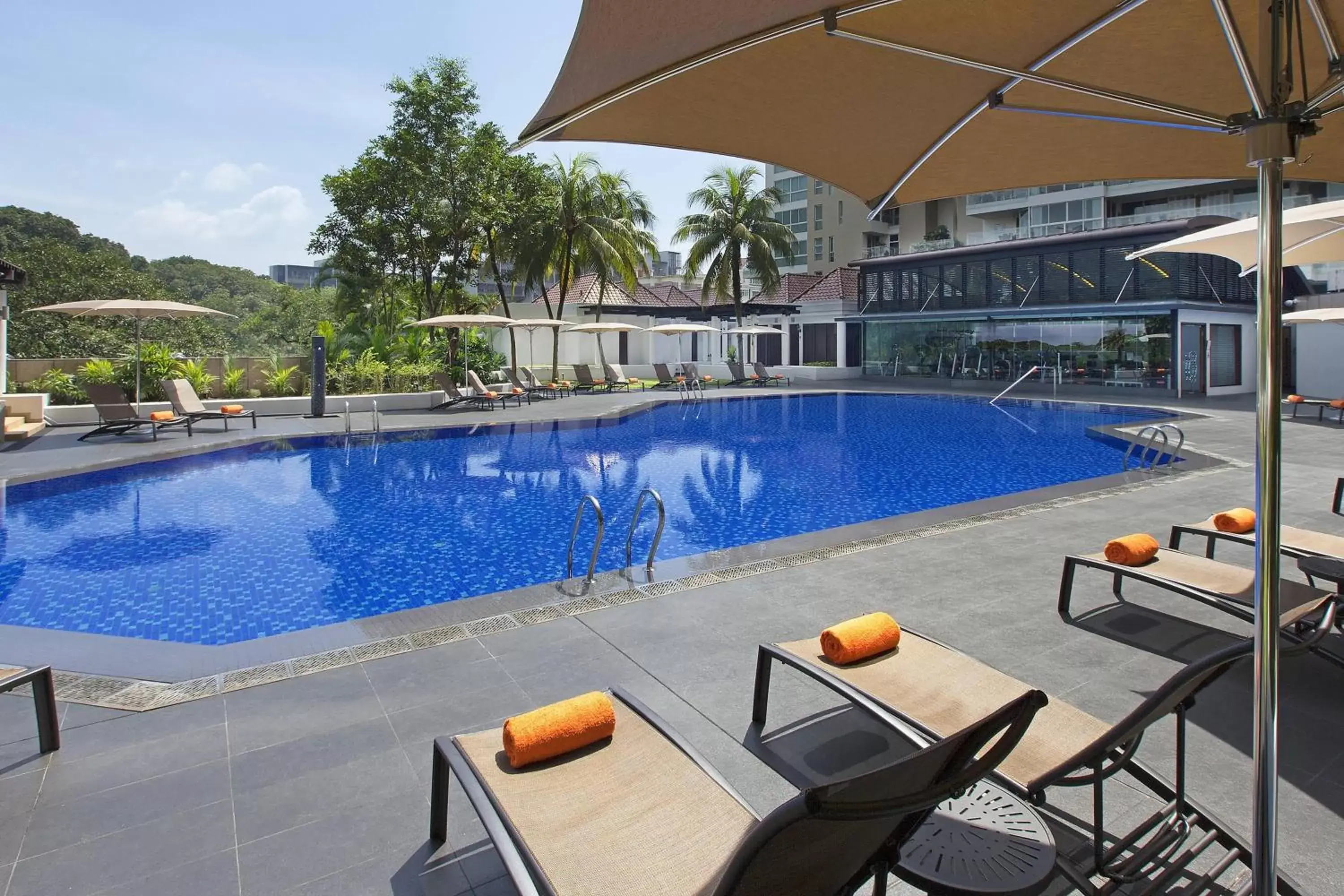 Swimming Pool in Sheraton Towers Singapore Hotel