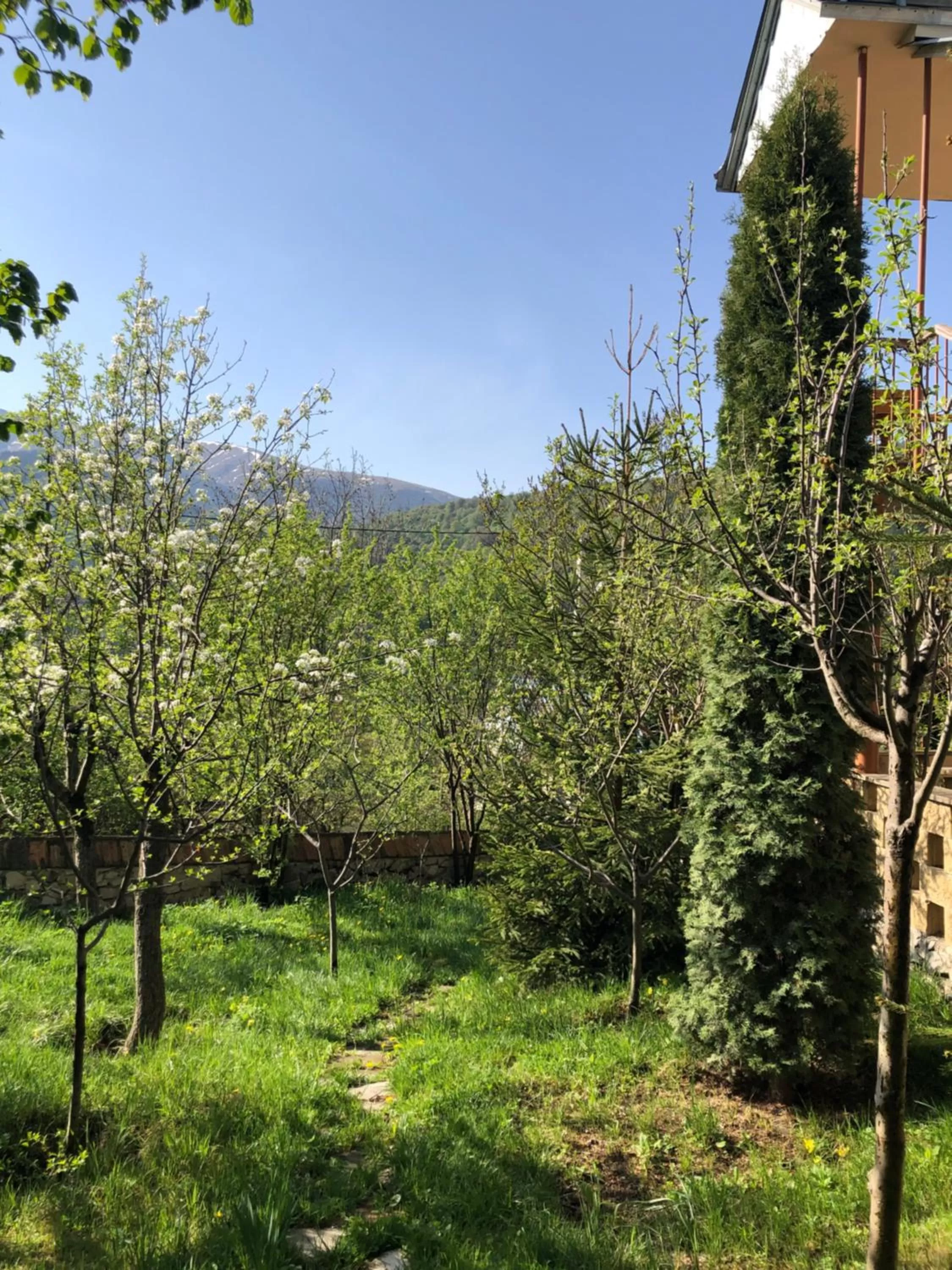 Garden in Dil Hill by Sam