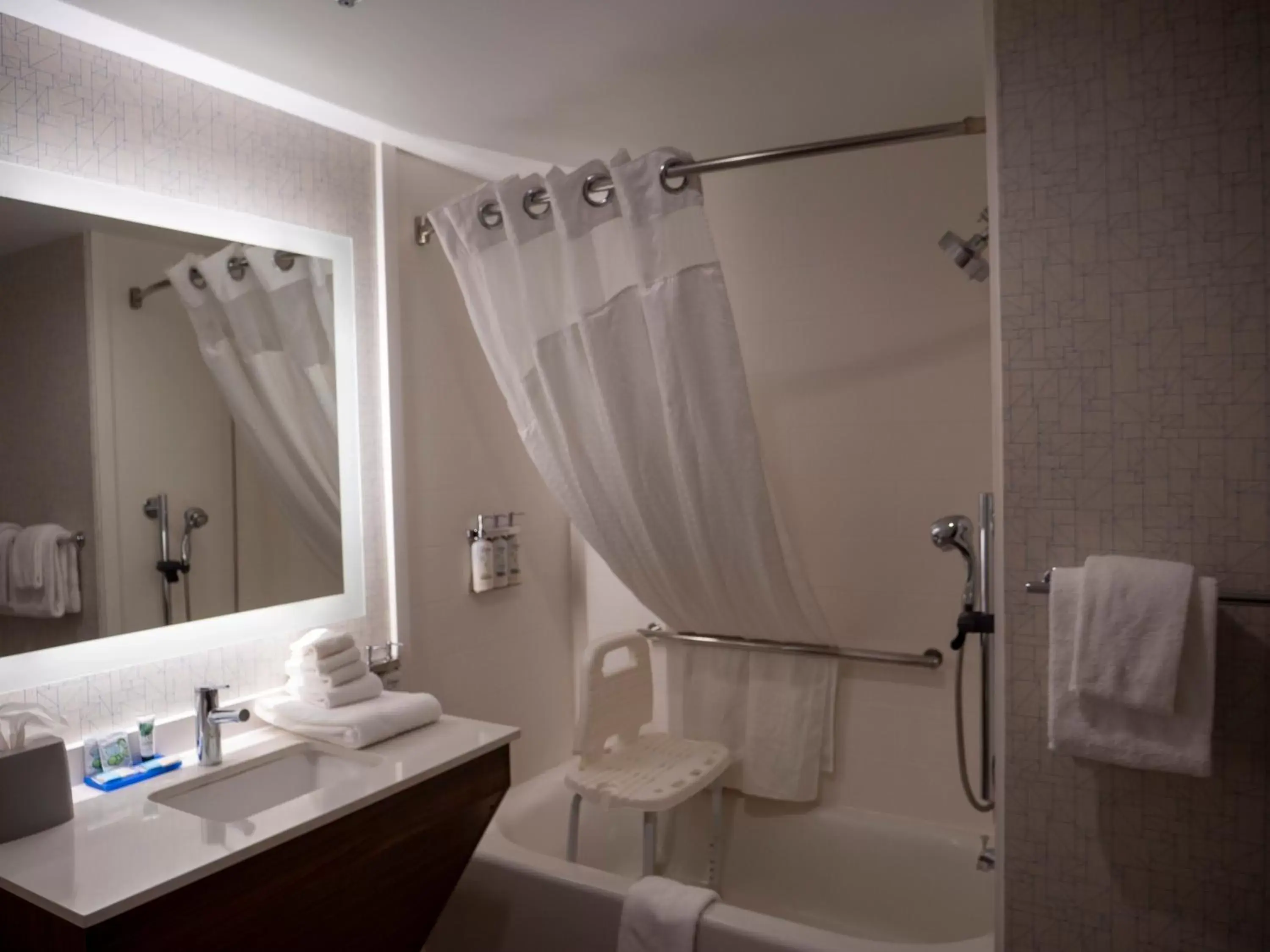 Bathroom in Holiday Inn Express & Suites Greenville Airport, an IHG Hotel