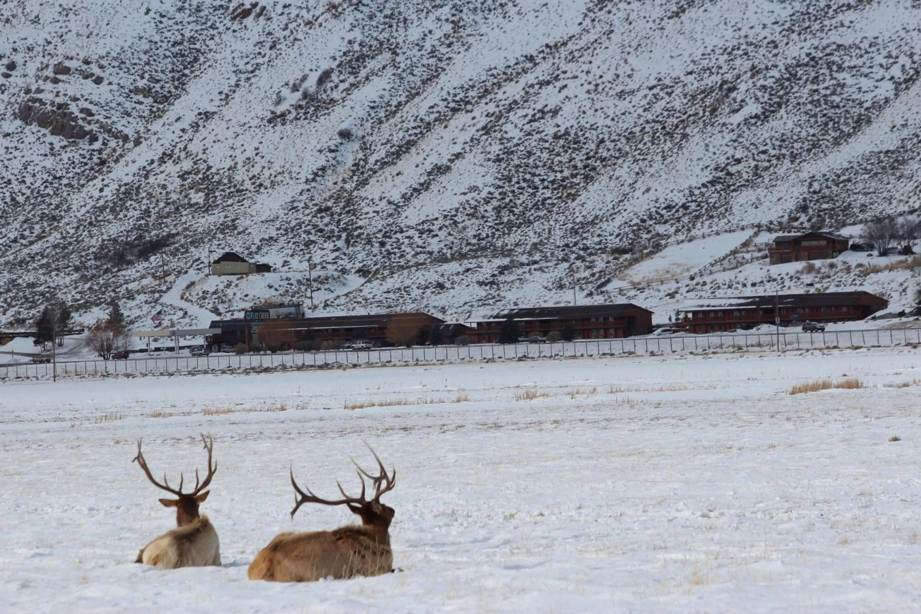 Facade/entrance in Flat Creek Inn
