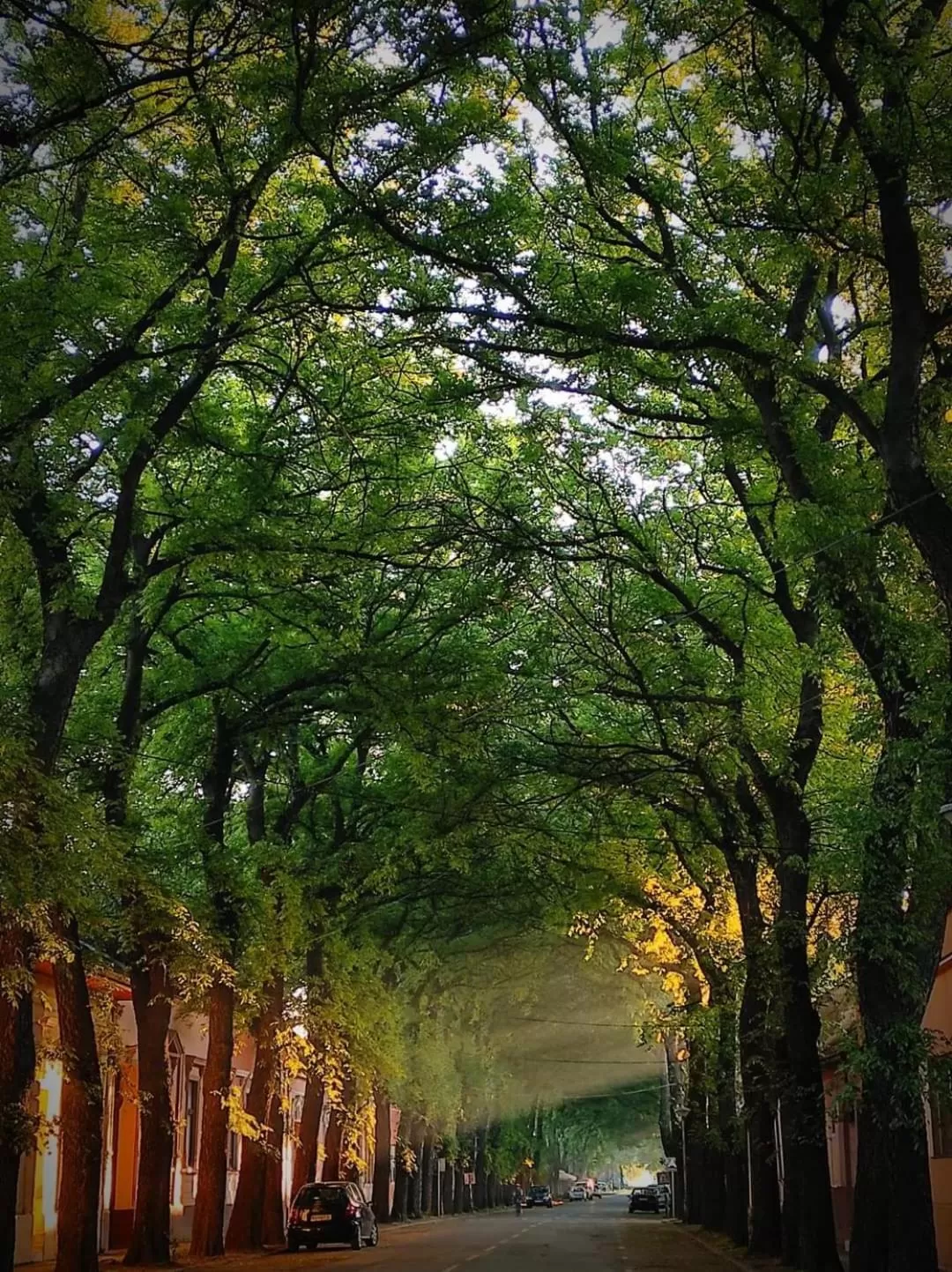 Bed&Breakfast INTERMEZZO CAFFE