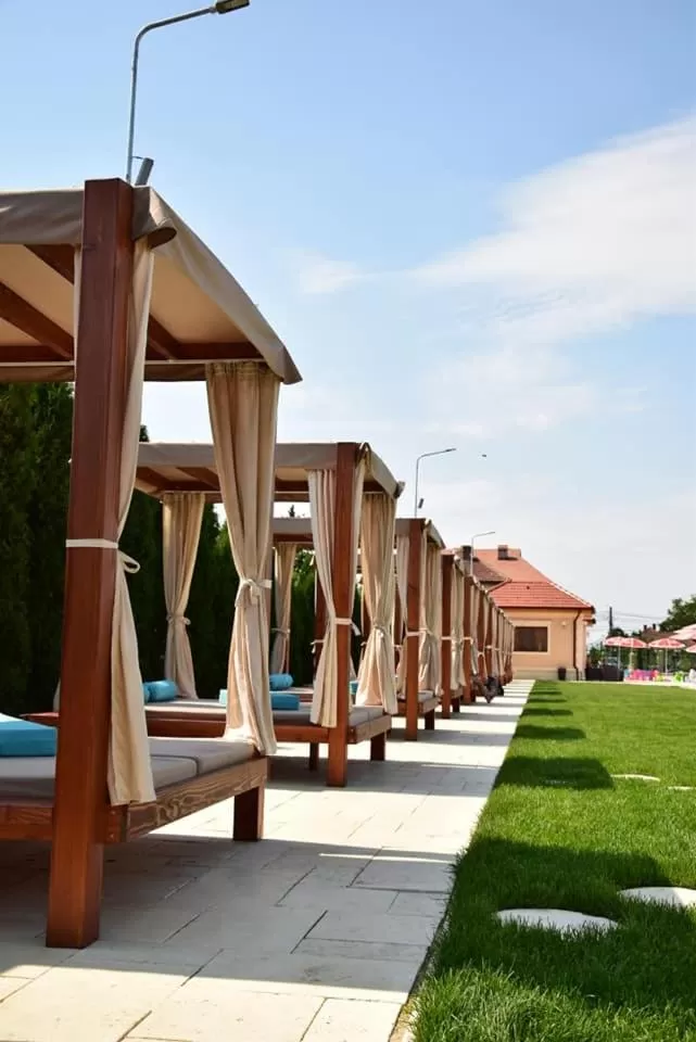 Swimming pool in Pensiunea Trei Pini