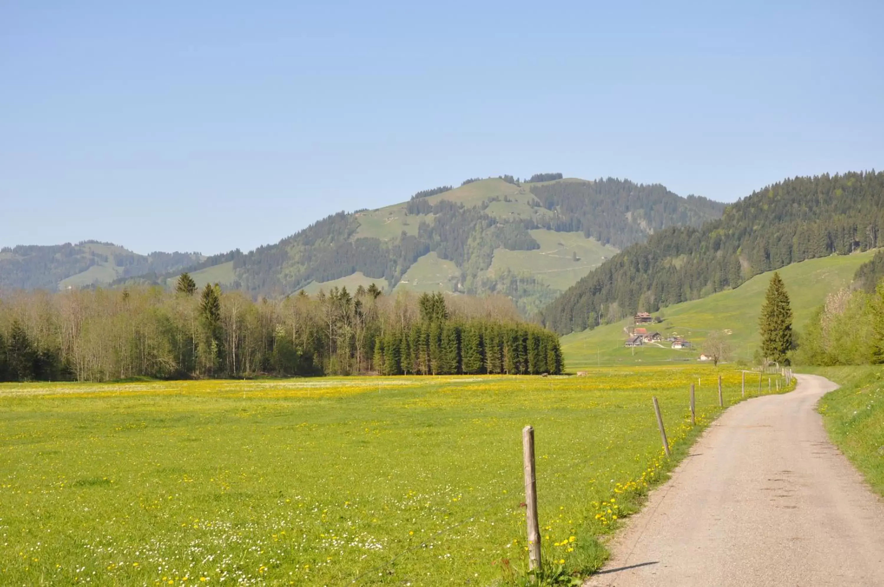 Spring in Hotel Garni Rösslipost