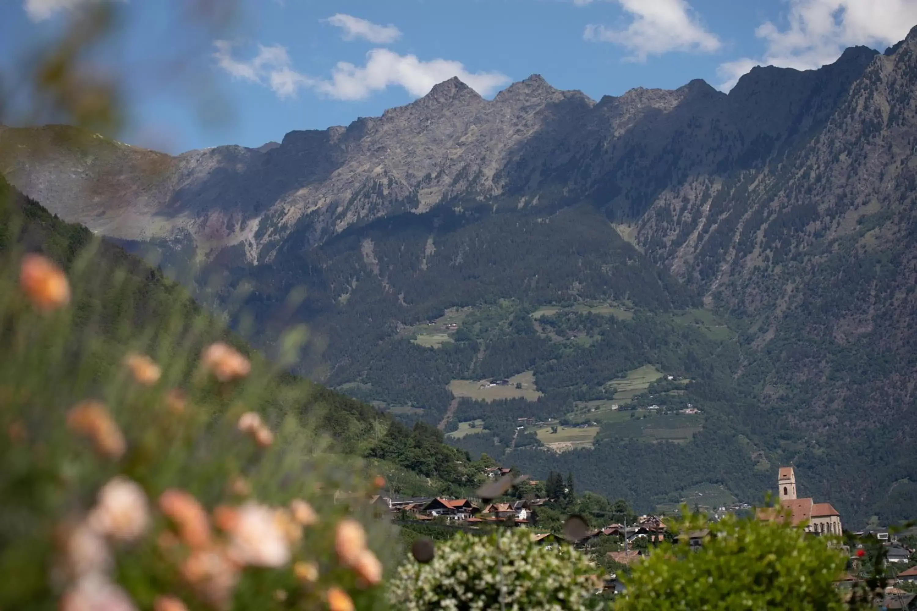 View (from property/room), Natural Landscape in Residence Margreth