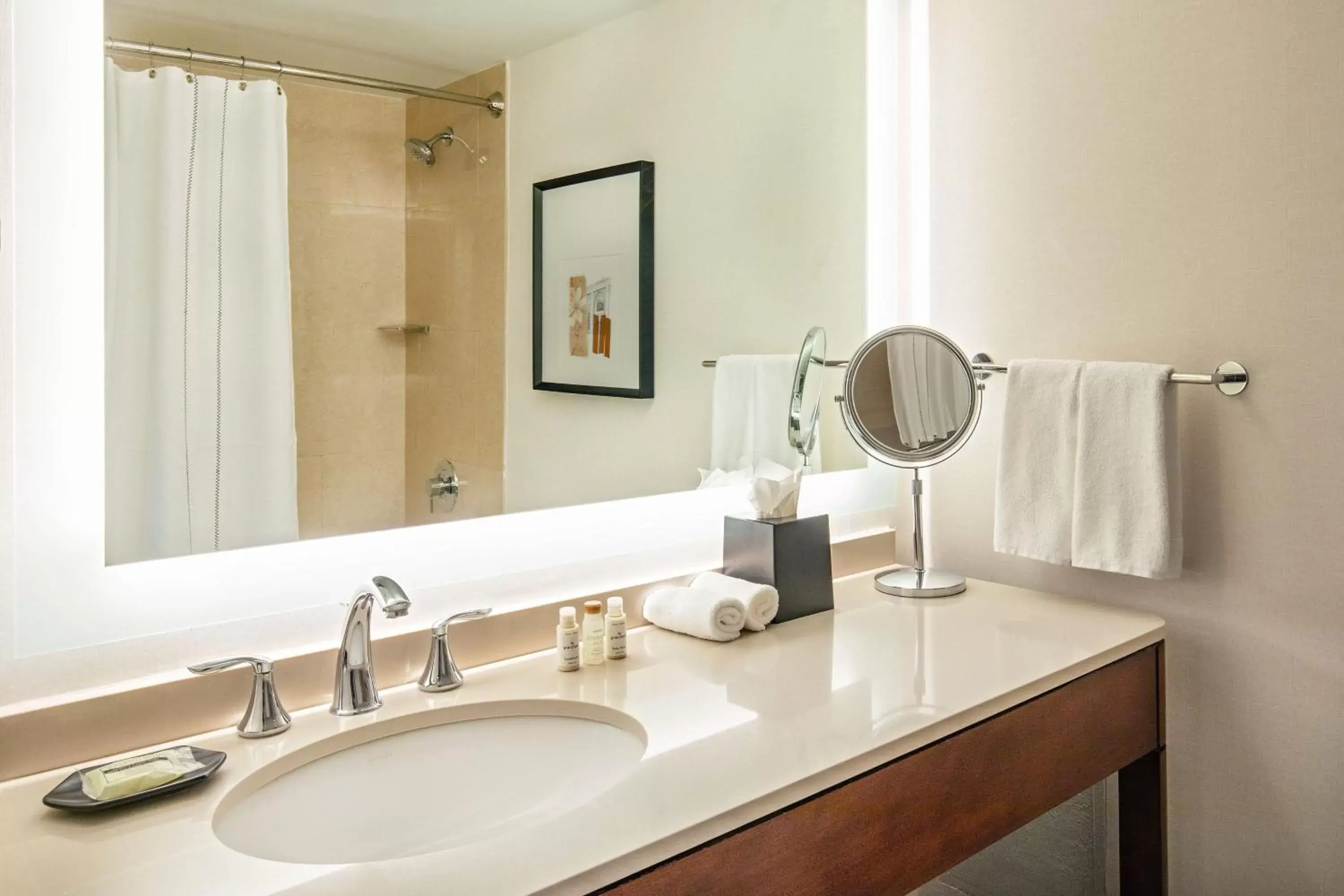 Bathroom in Sheraton Boston Needham Hotel