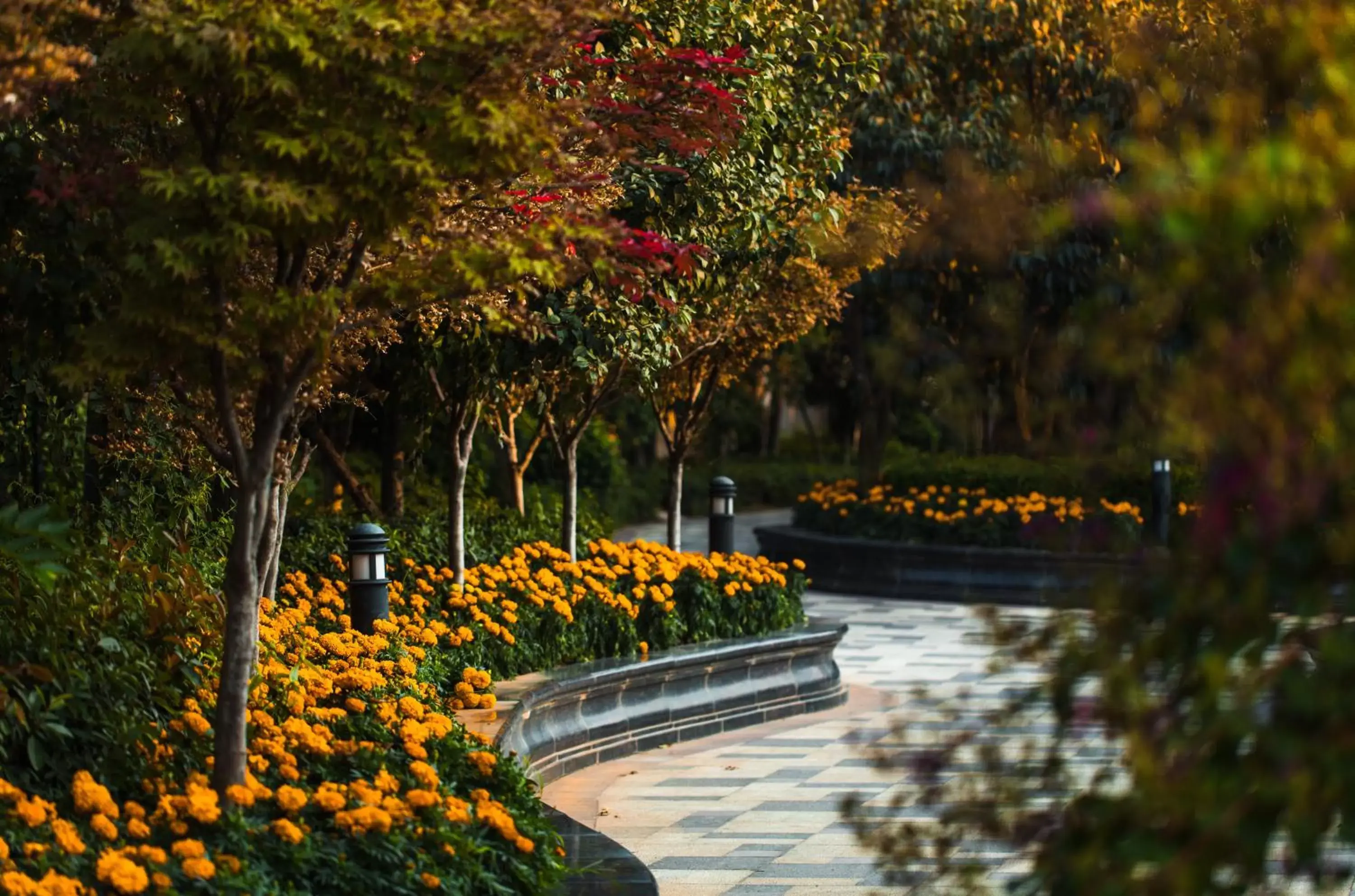 Garden view, Swimming Pool in Wyndham Qingdao