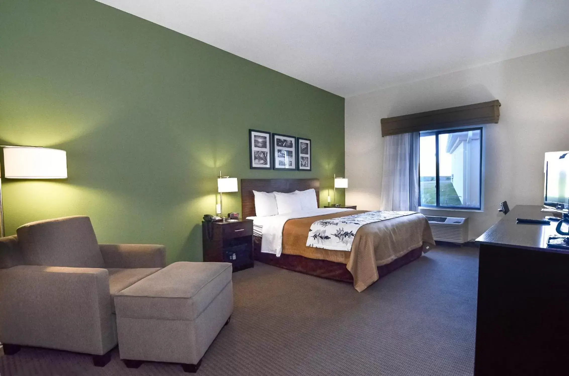 King Room - Non-Smoking in Sleep Inn & Suites Mount Olive North