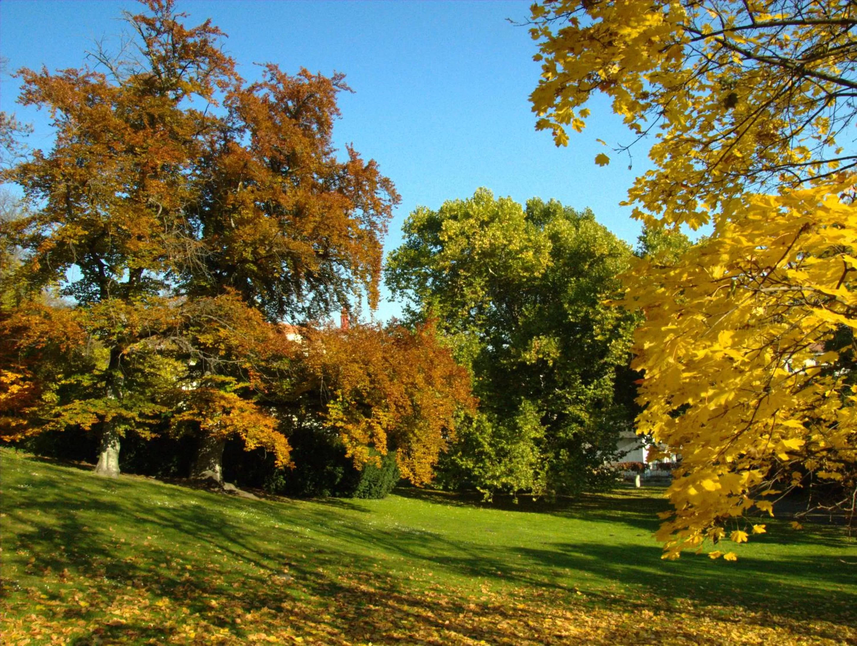 Area and facilities in Hotel Kinsky Fountain