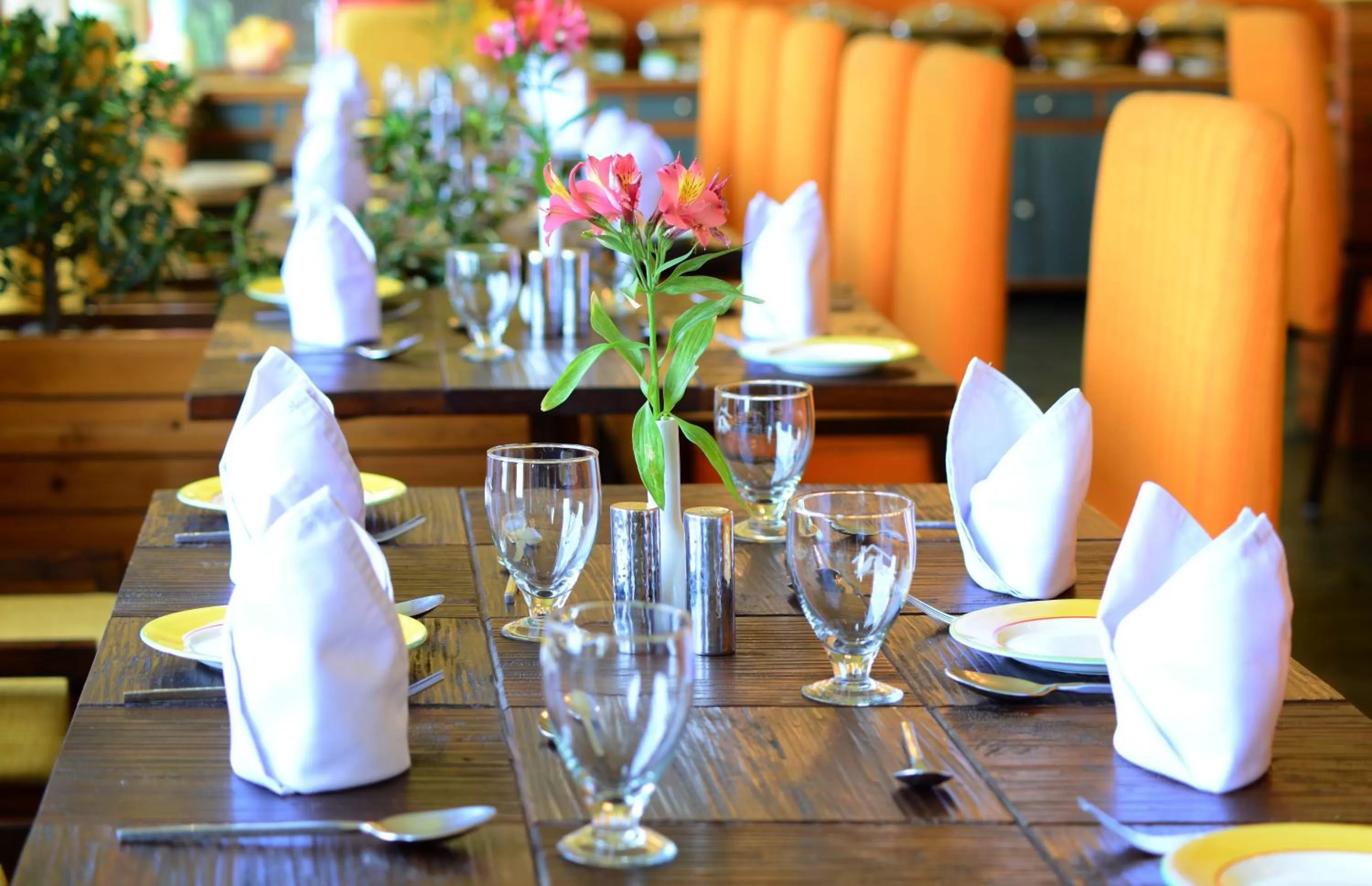 Restaurant/places to eat in Honeymoon Inn Shimla