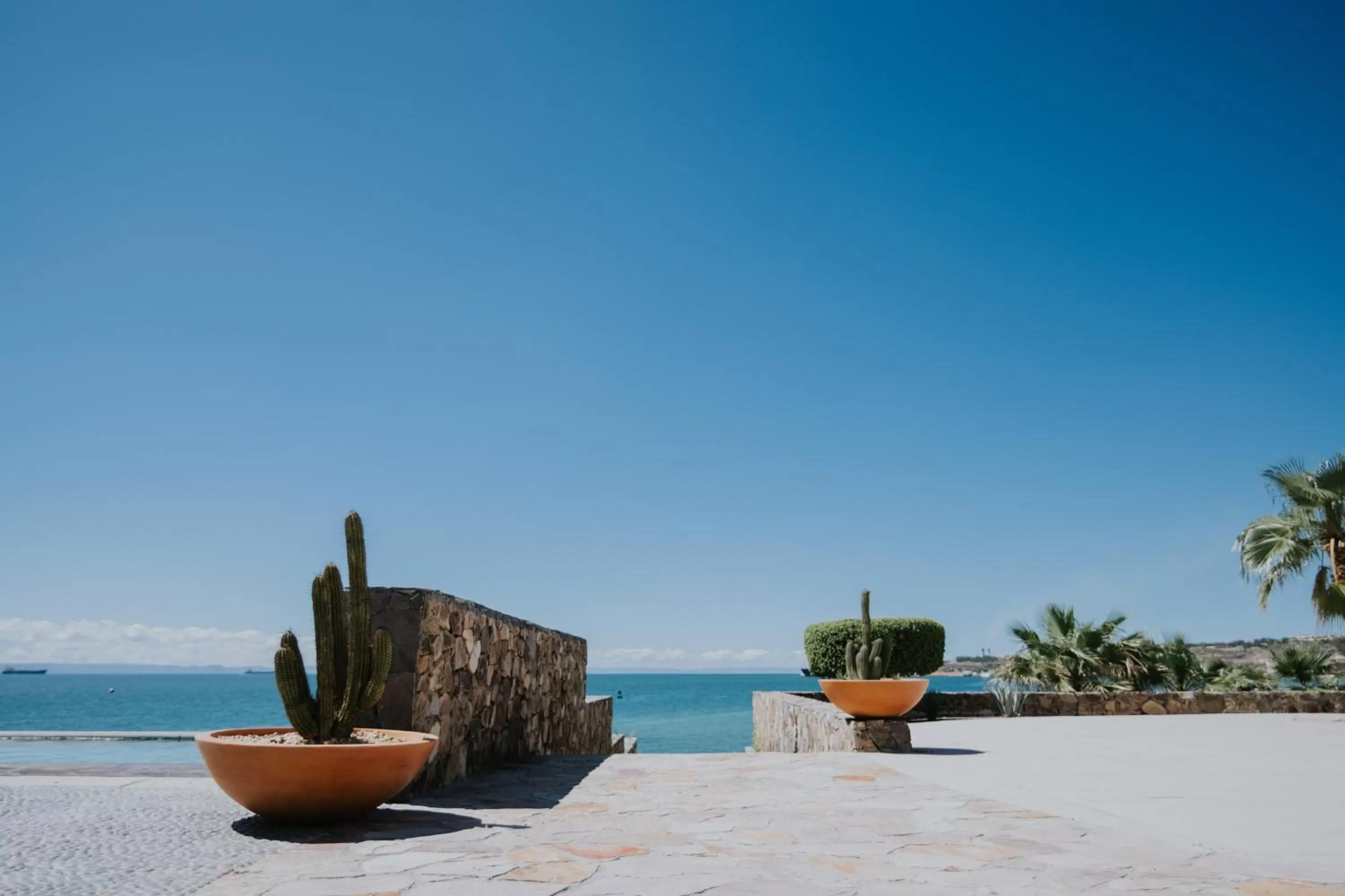 View (from property/room) in Orchid House Baja