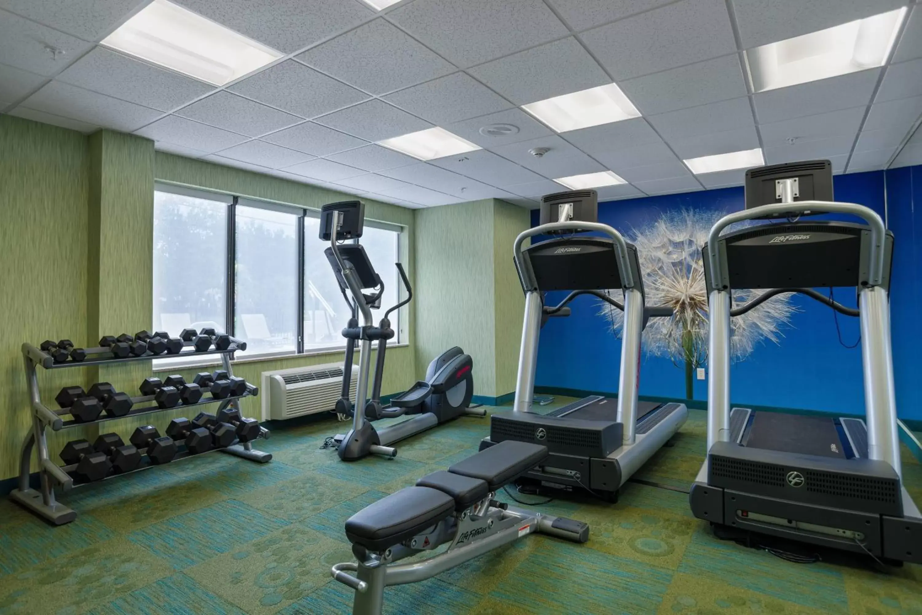 Fitness centre/facilities, Fitness Center/Facilities in SpringHill Suites St Petersburg Clearwater