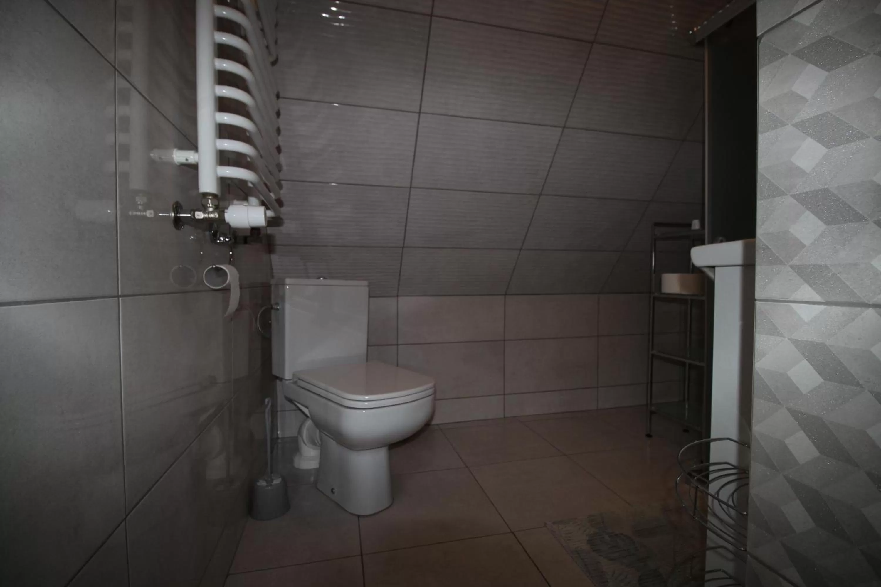 Bathroom in DW U Wajdy