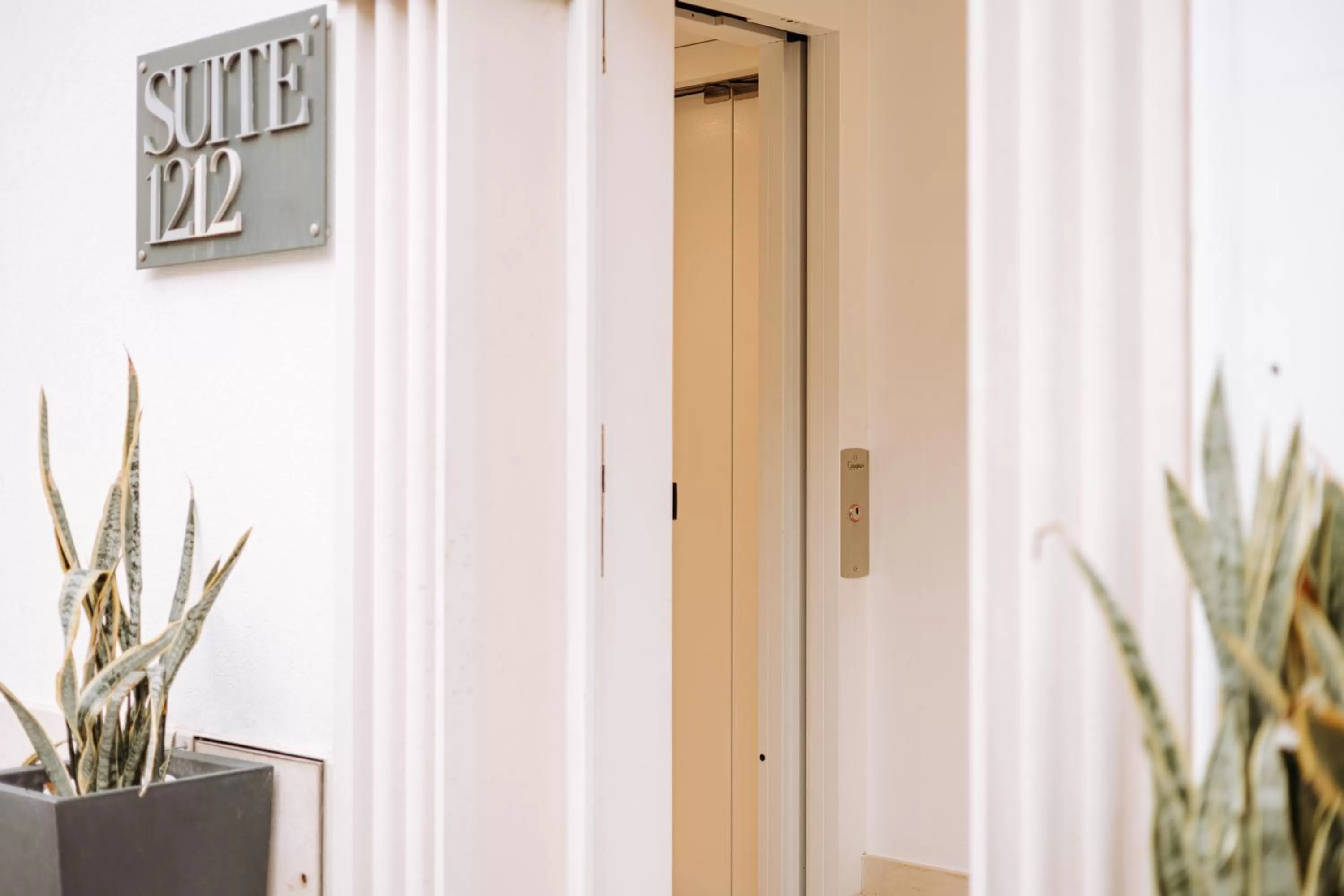 Suite1212 - Rattazzi