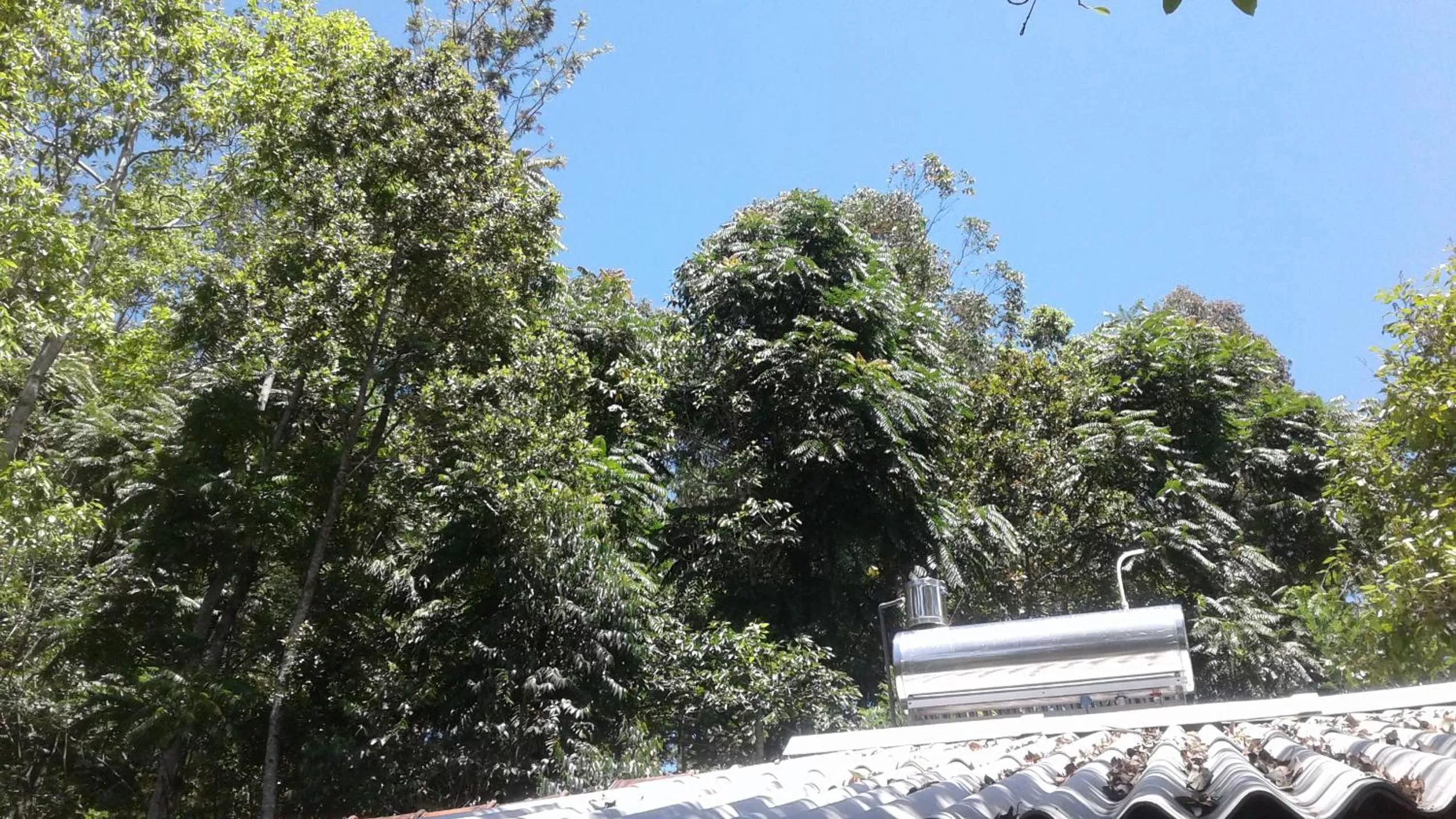 Garden view in Malithis lodge