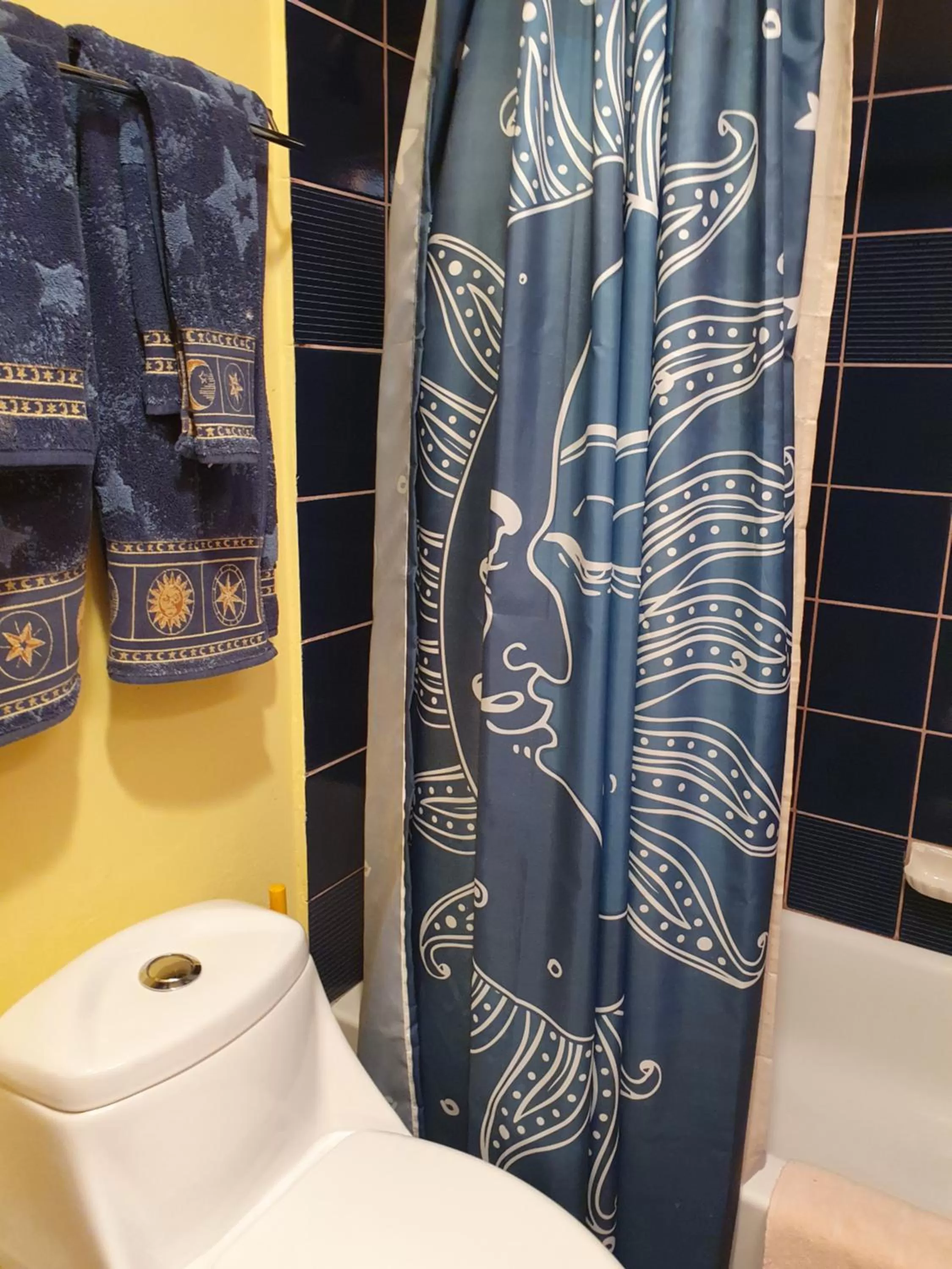 Other, Bathroom in Hacienda Rancho Santini