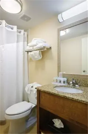 Bathroom in Holiday Inn Express Philadelphia Airport, an IHG Hotel