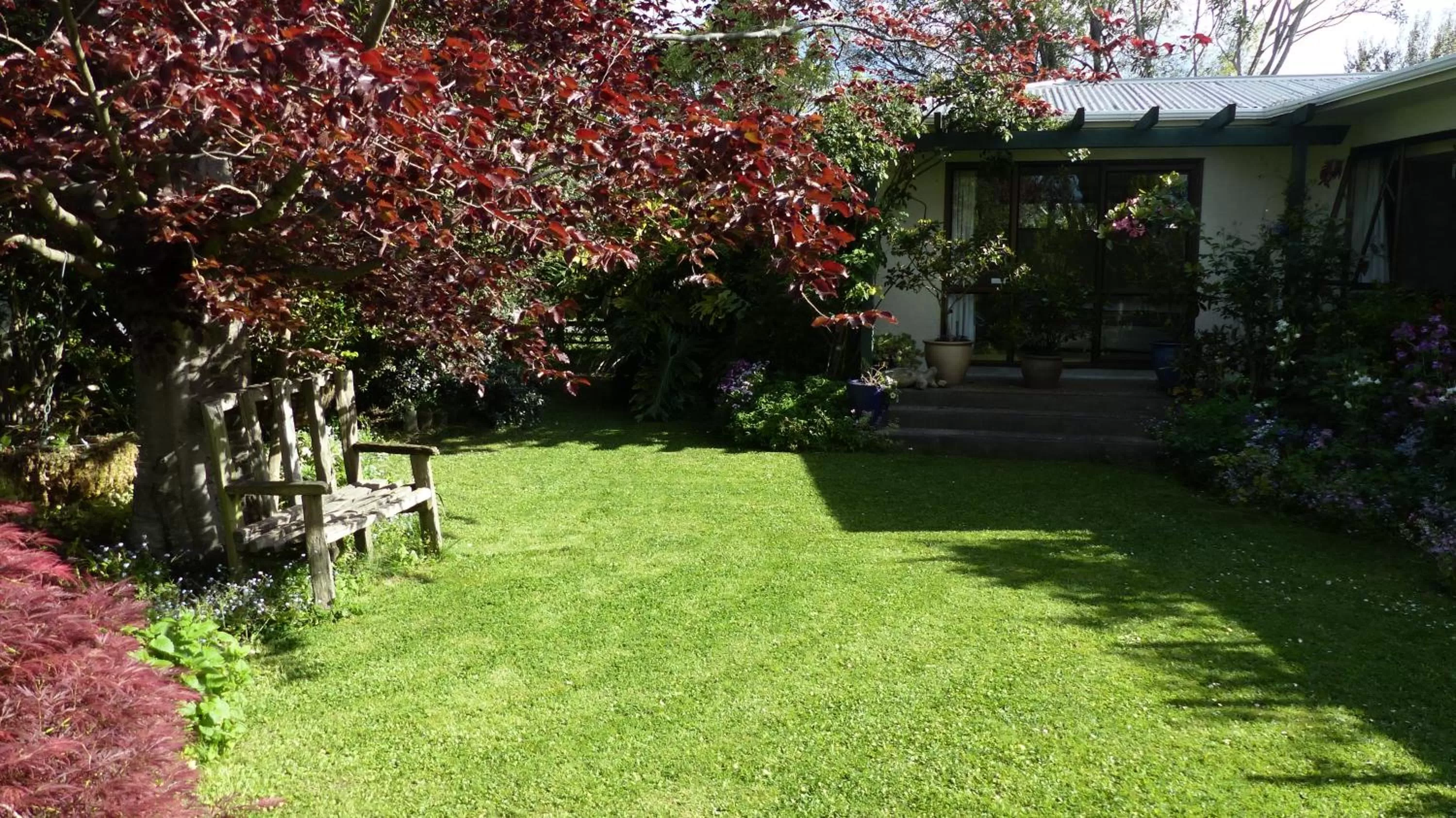 Natural landscape in Ashcroft Gardens Bed & Breakfast