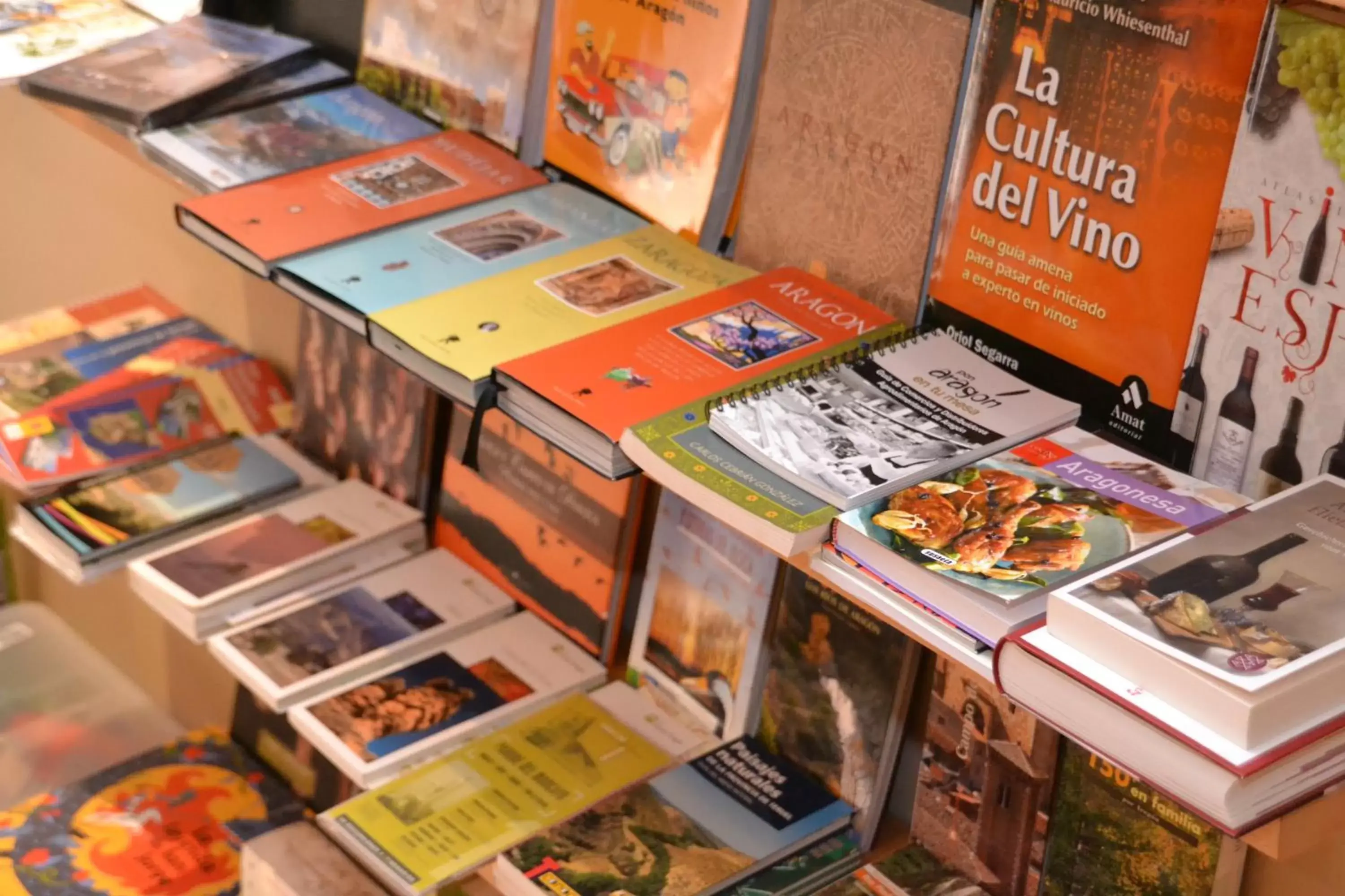 Library in La Casa de las Aldeas