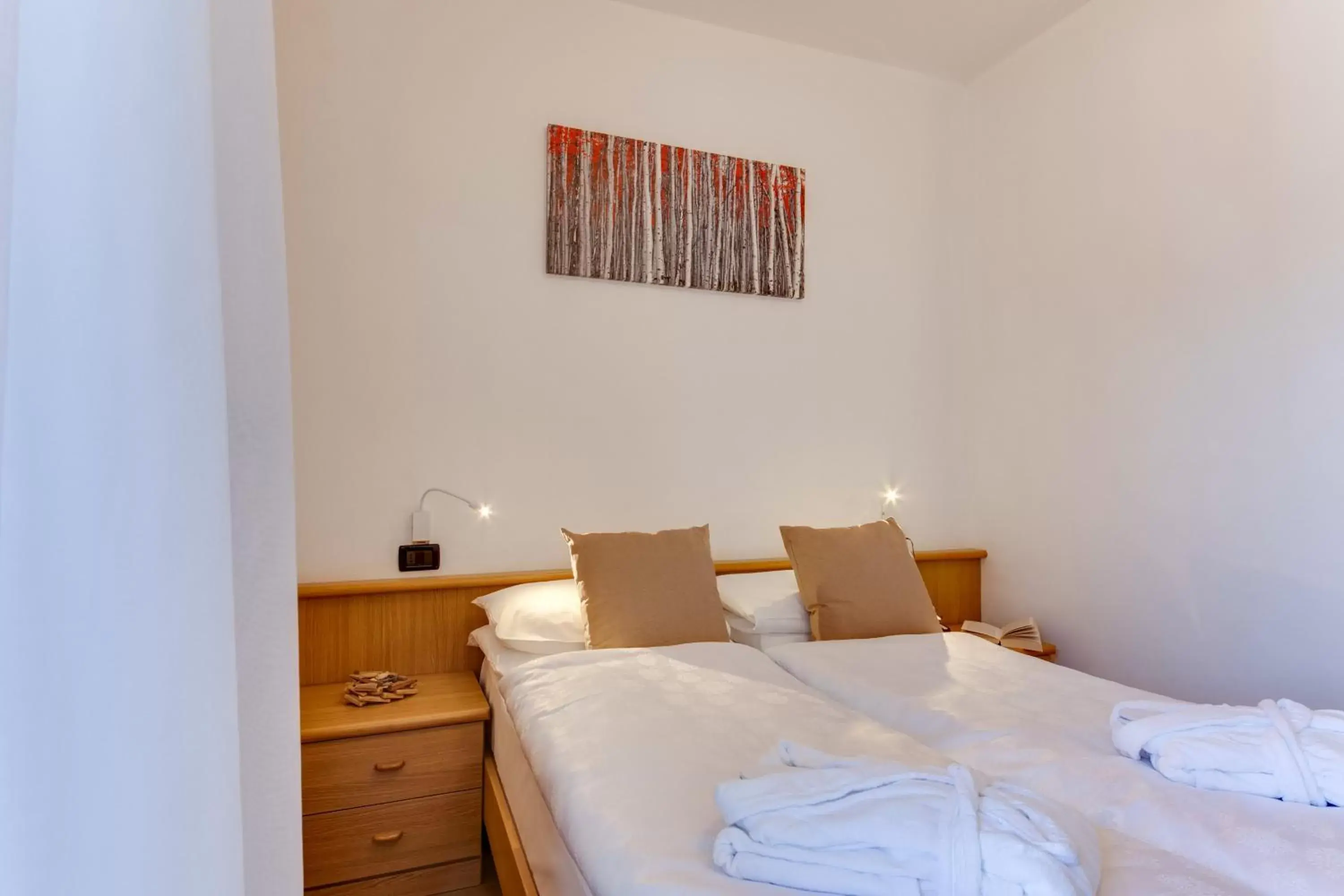 Economy Double Room in Hotel Bellamonte