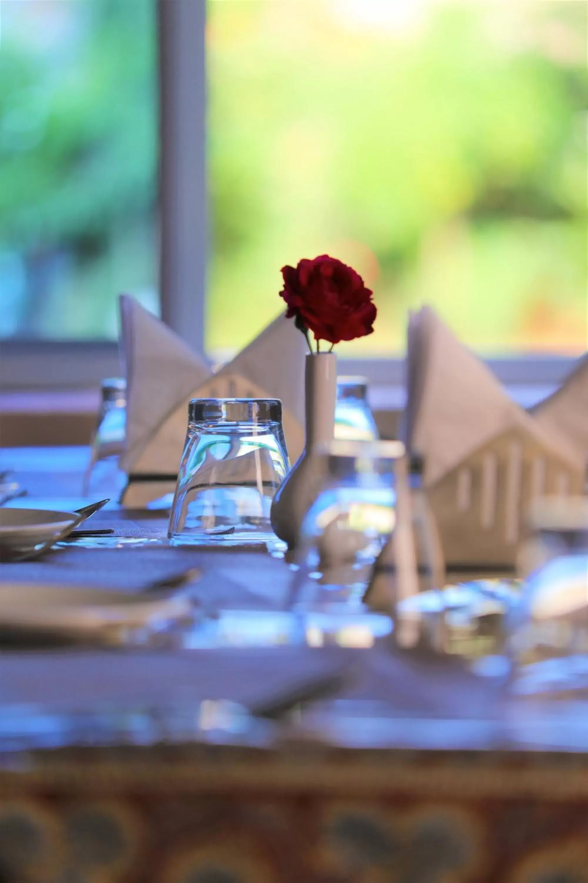 Camp Paridhi Ranthambhore, Homestay Camp Paridhi Ranthambhore, Homestay