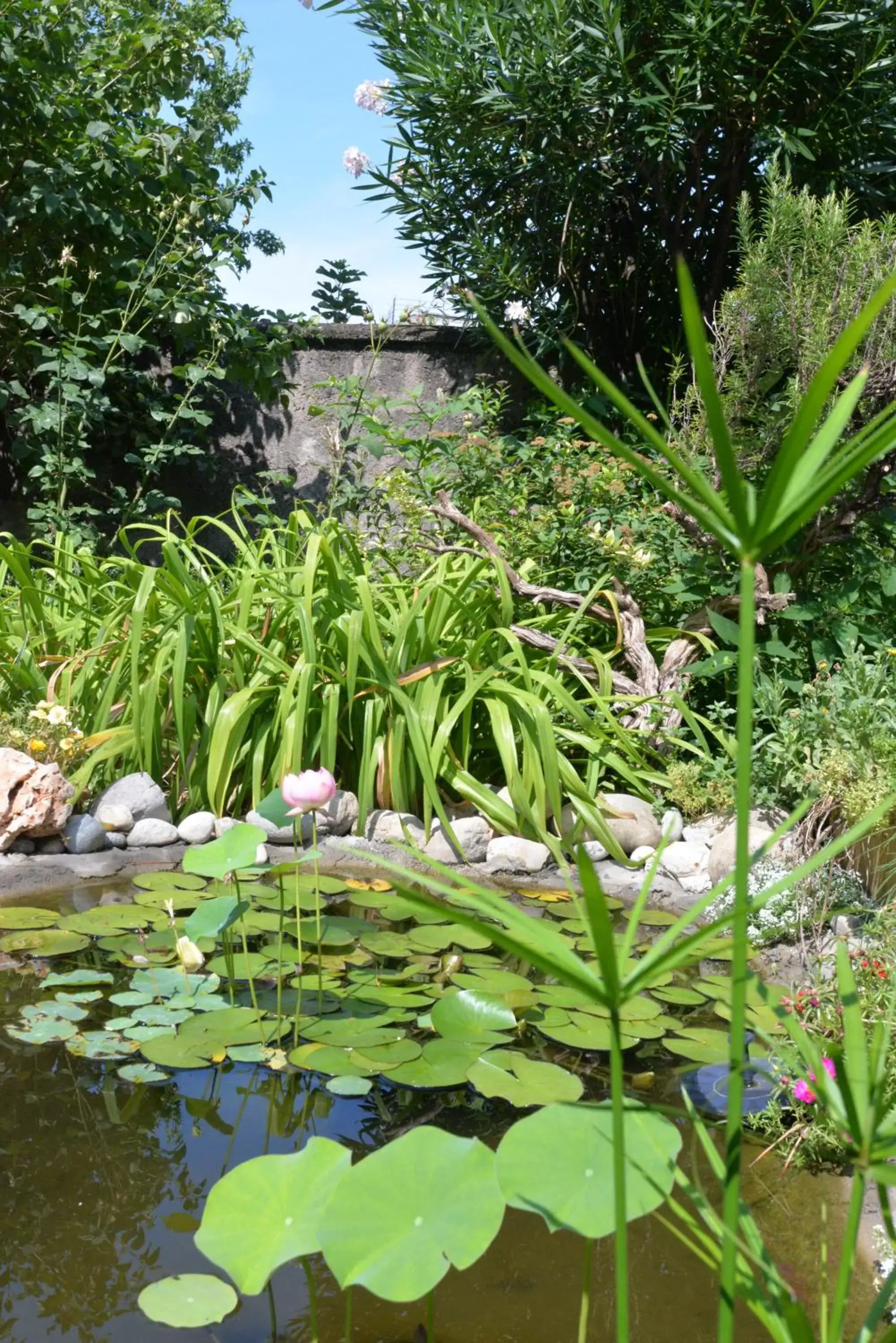 On site, Garden in Albergo Ristorante Della Torre