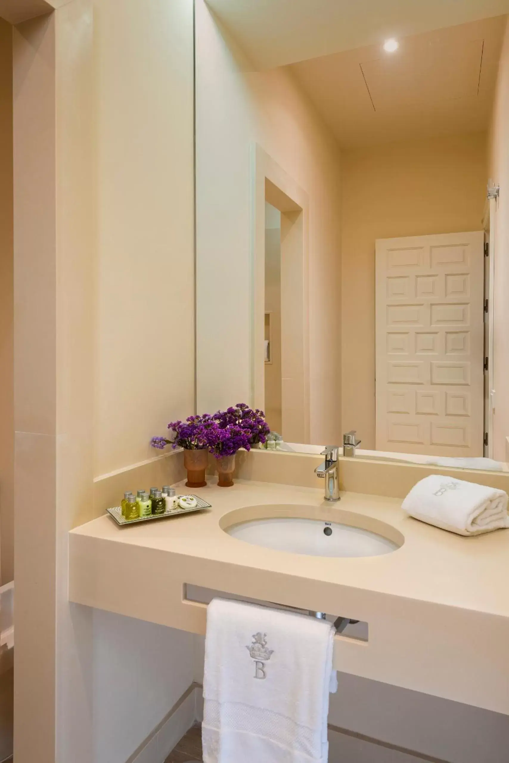 Bathroom in Palacio Bucarelli