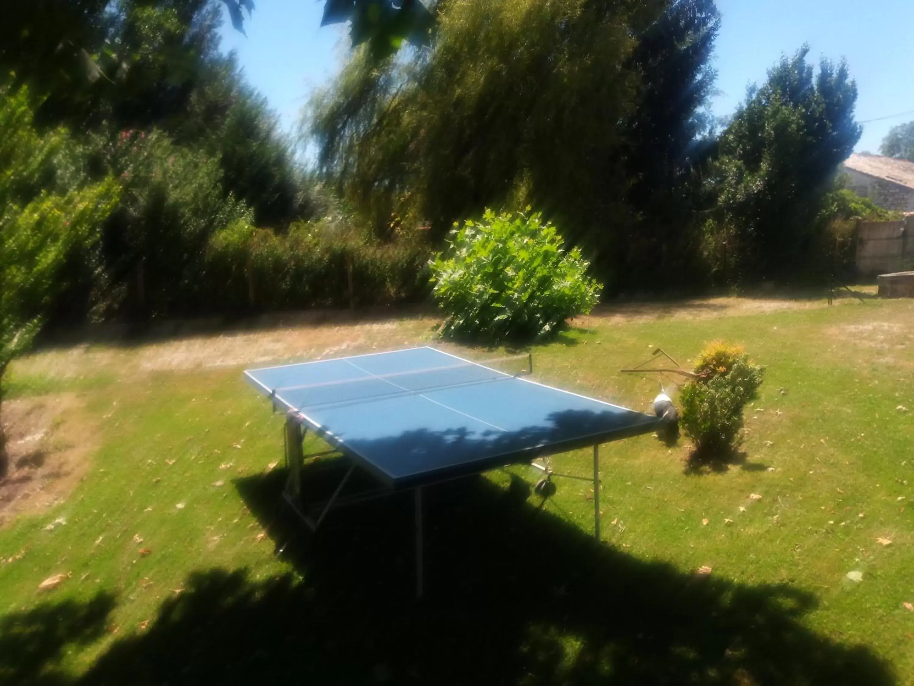 Table Tennis in Montplaisir