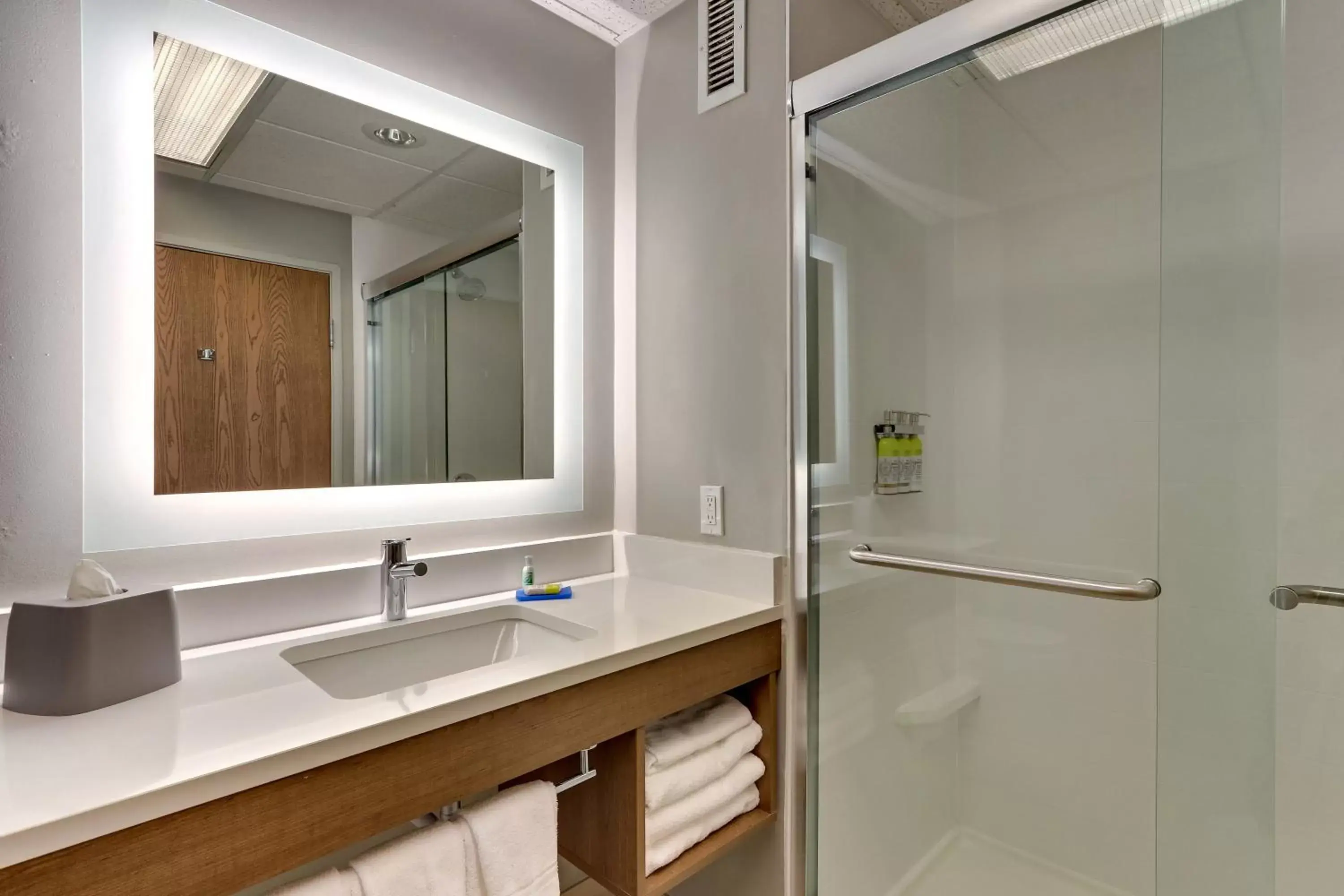 Bathroom in Holiday Inn Express & Suites Bad Axe, an IHG Hotel