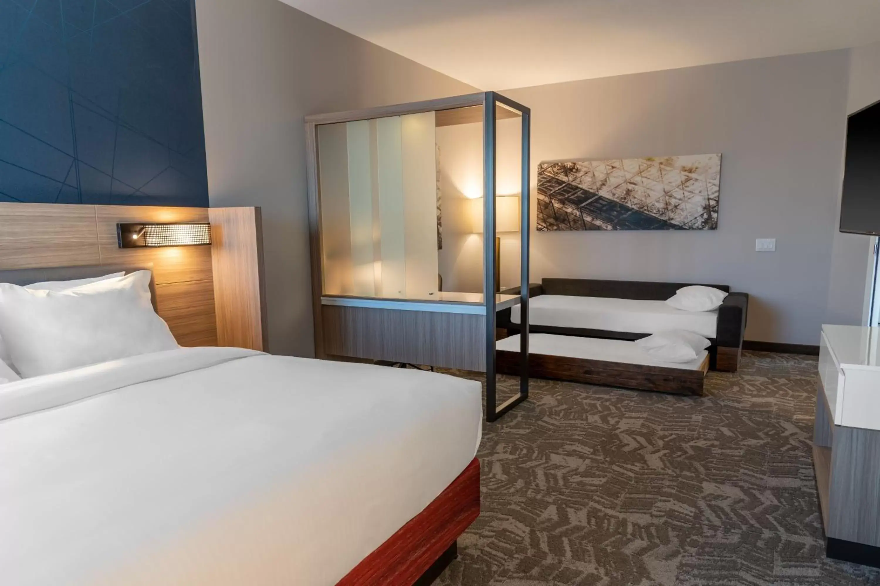 Photo of the whole room, Bed in SpringHill Suites by Marriott Overland Park Leawood