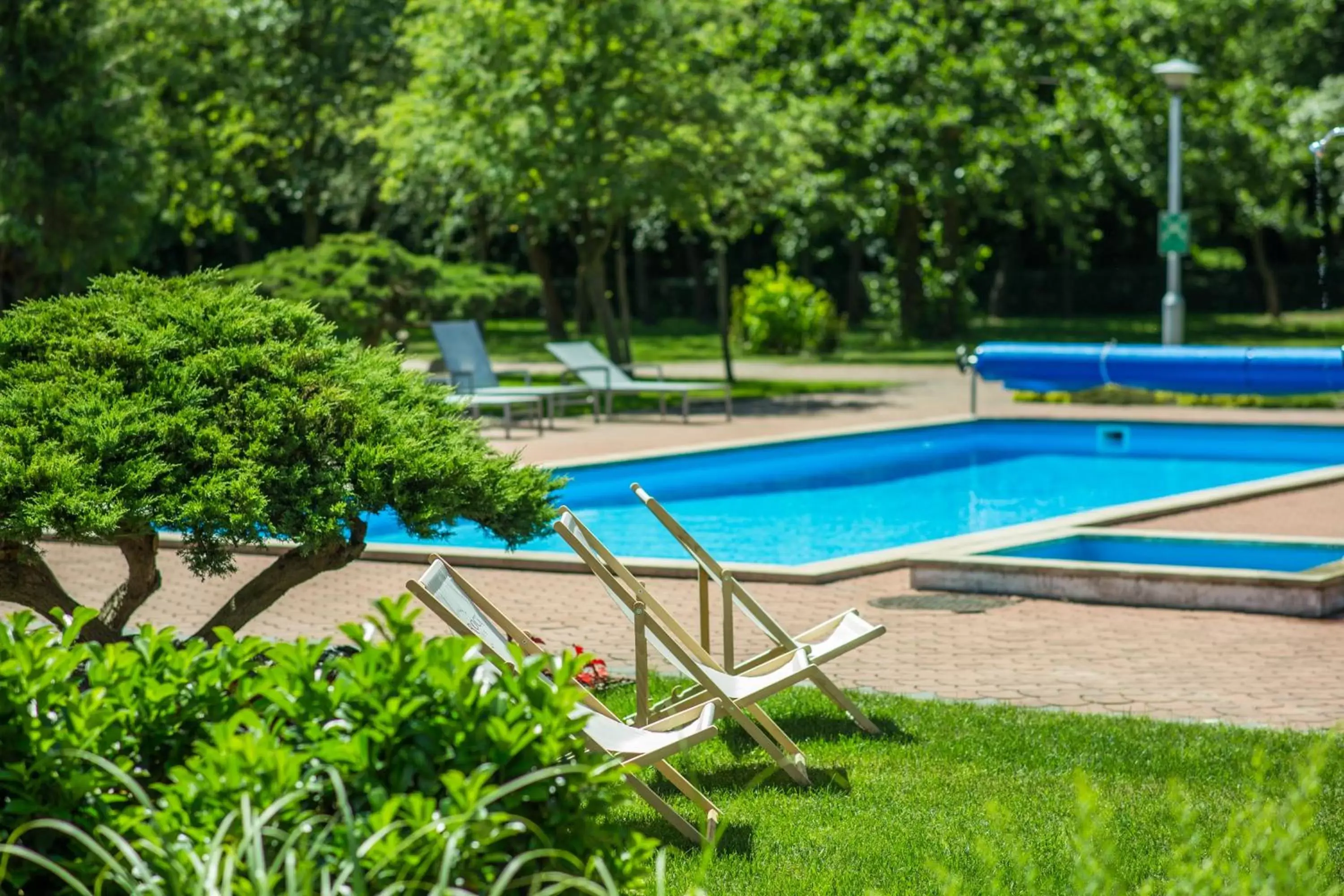 Garden, Swimming Pool in Novotel Poznań Malta