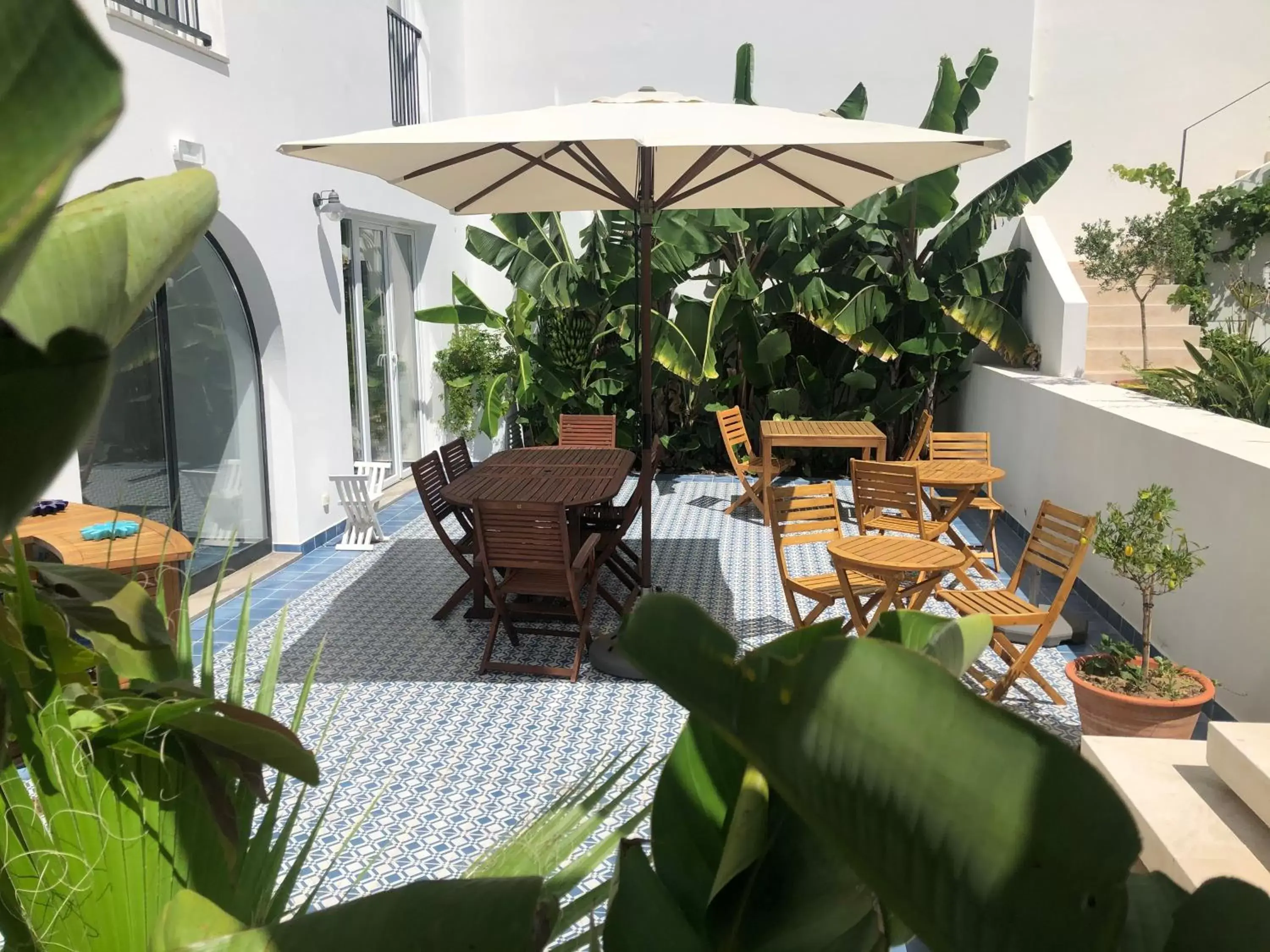 Patio in Casa Apollo Guesthouse