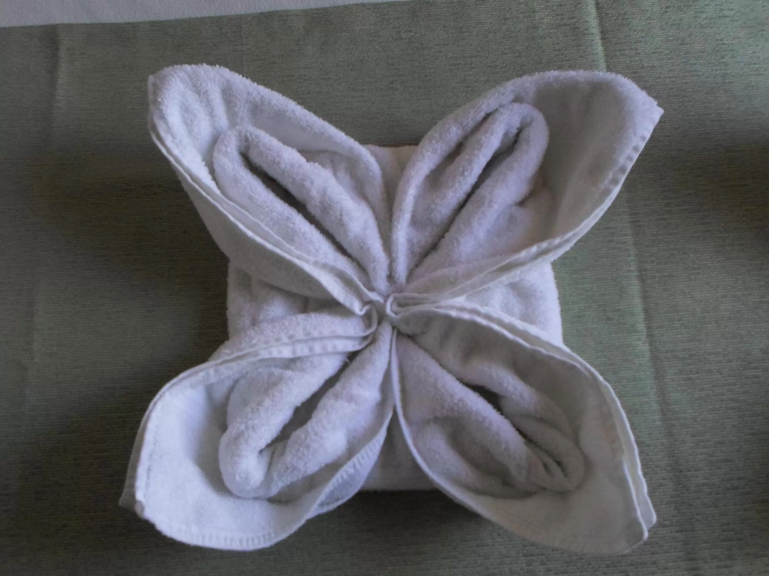 Decorative detail in Apart Hotel Robles del Sur