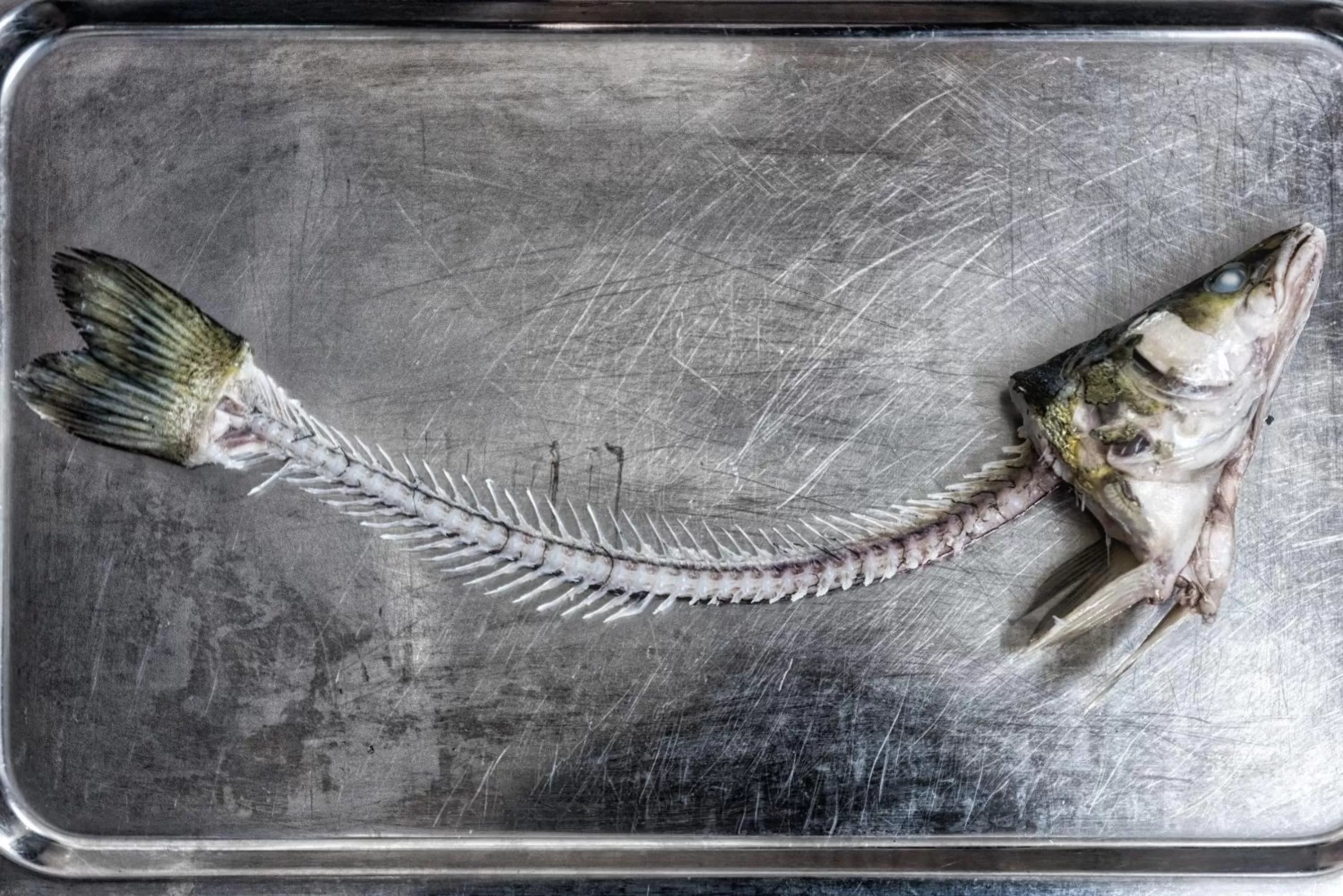 Food close-up in Bürgerbräu