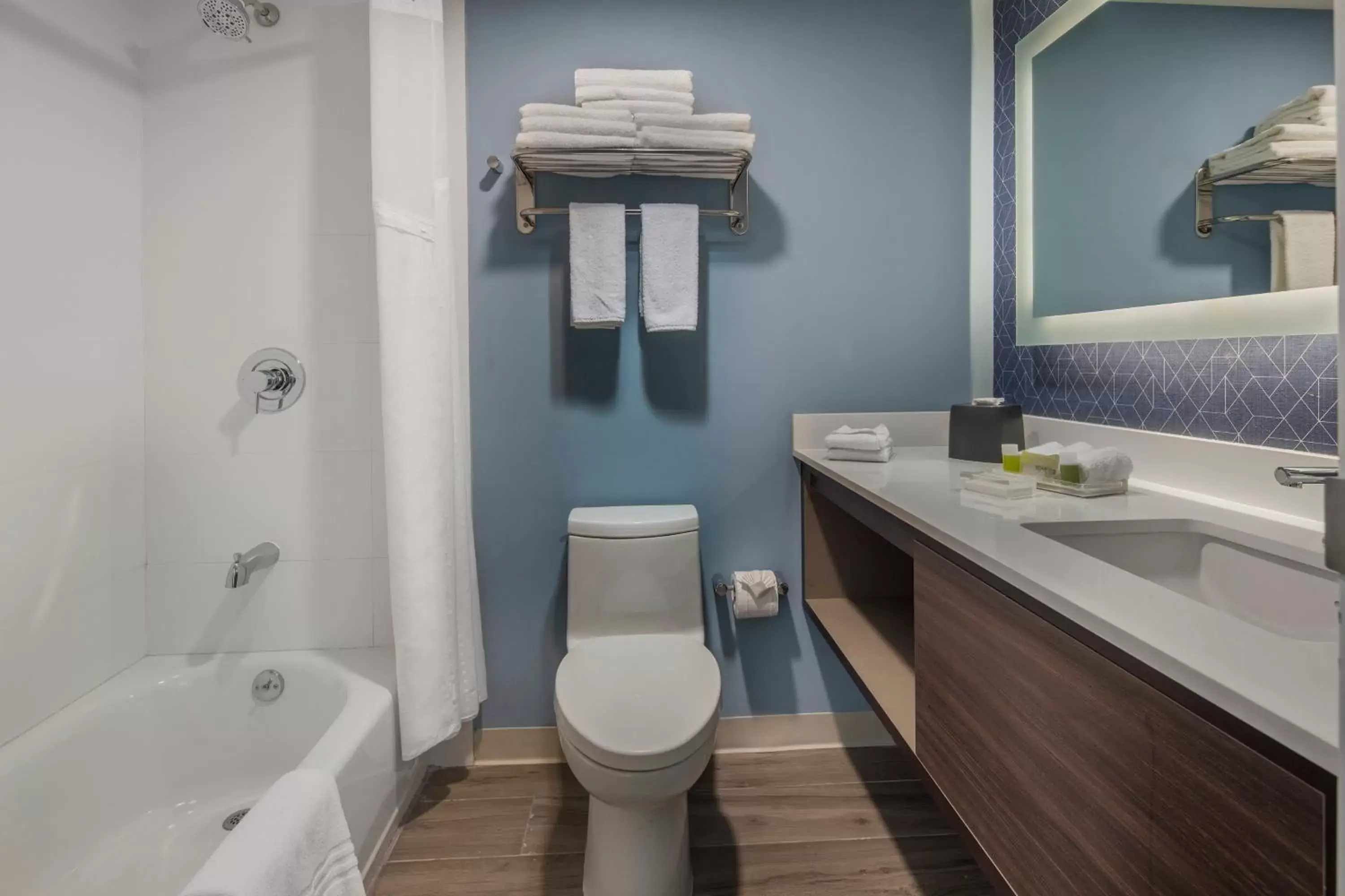 Bathroom in Holiday Inn & Suites - Aguascalientes, an IHG Hotel