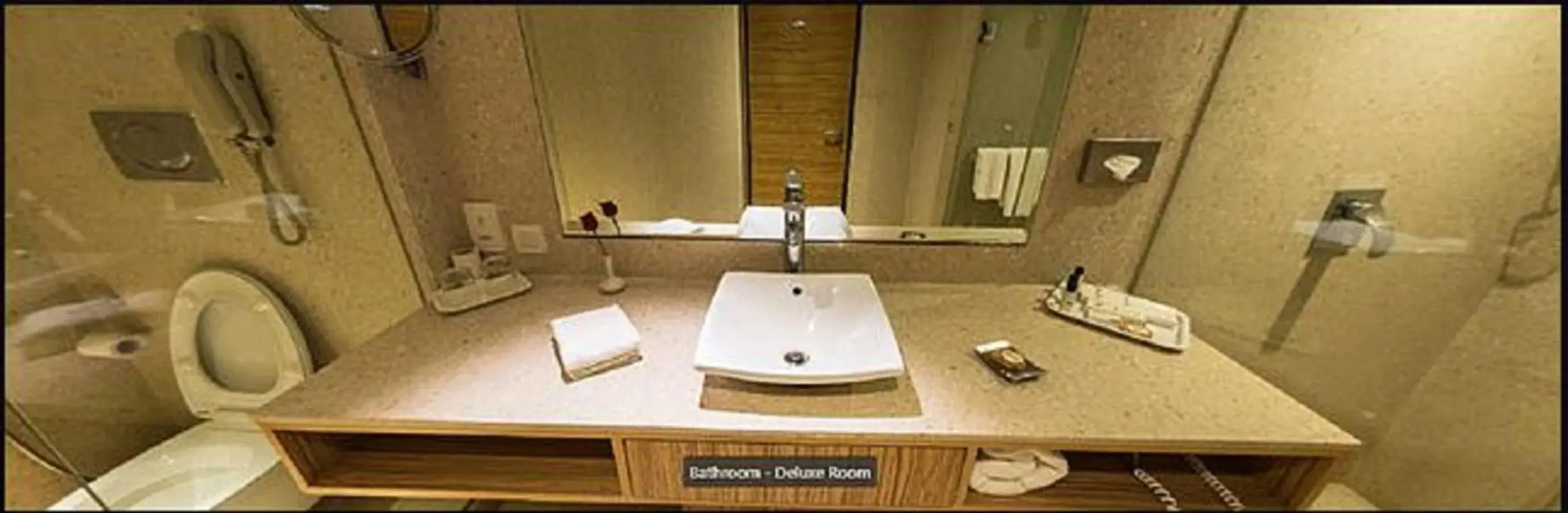 Bathroom in Pride Plaza Hotel, Ahmedabad