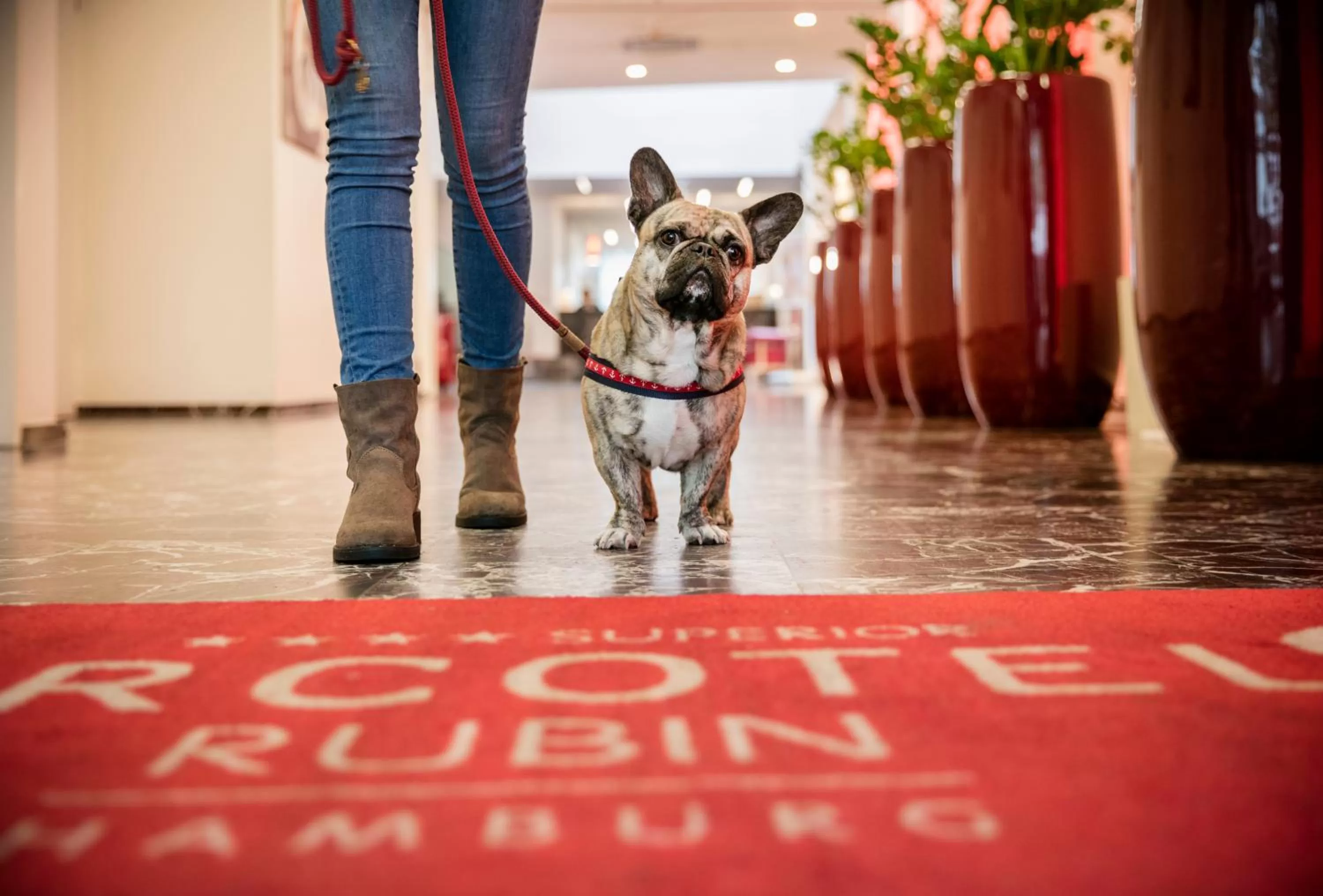 Pets in ARCOTEL Rubin Hamburg