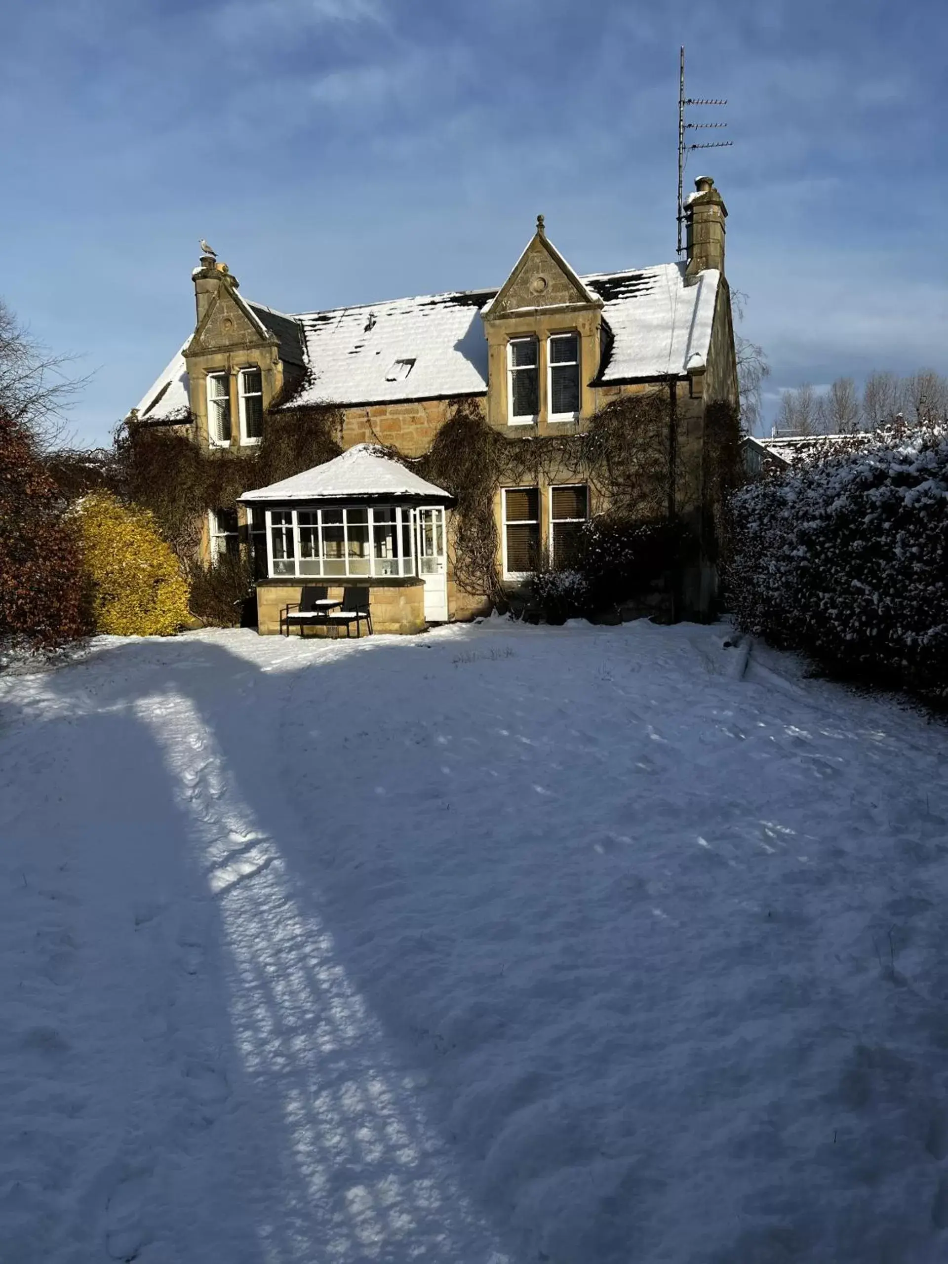 Garden, Winter in St Duthus Villa Guesthouse