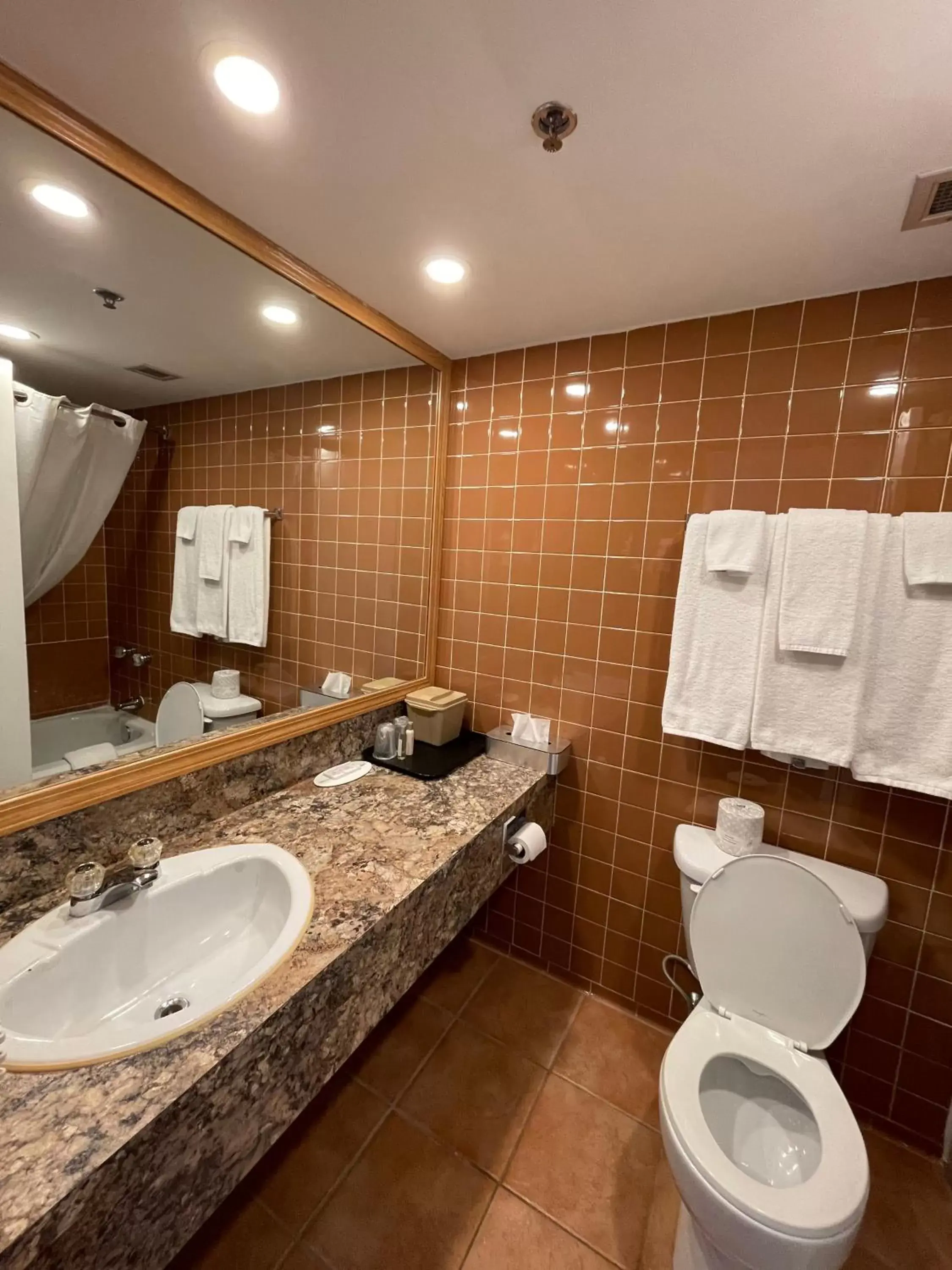 Bathroom in Travelodge by Wyndham Winnipeg