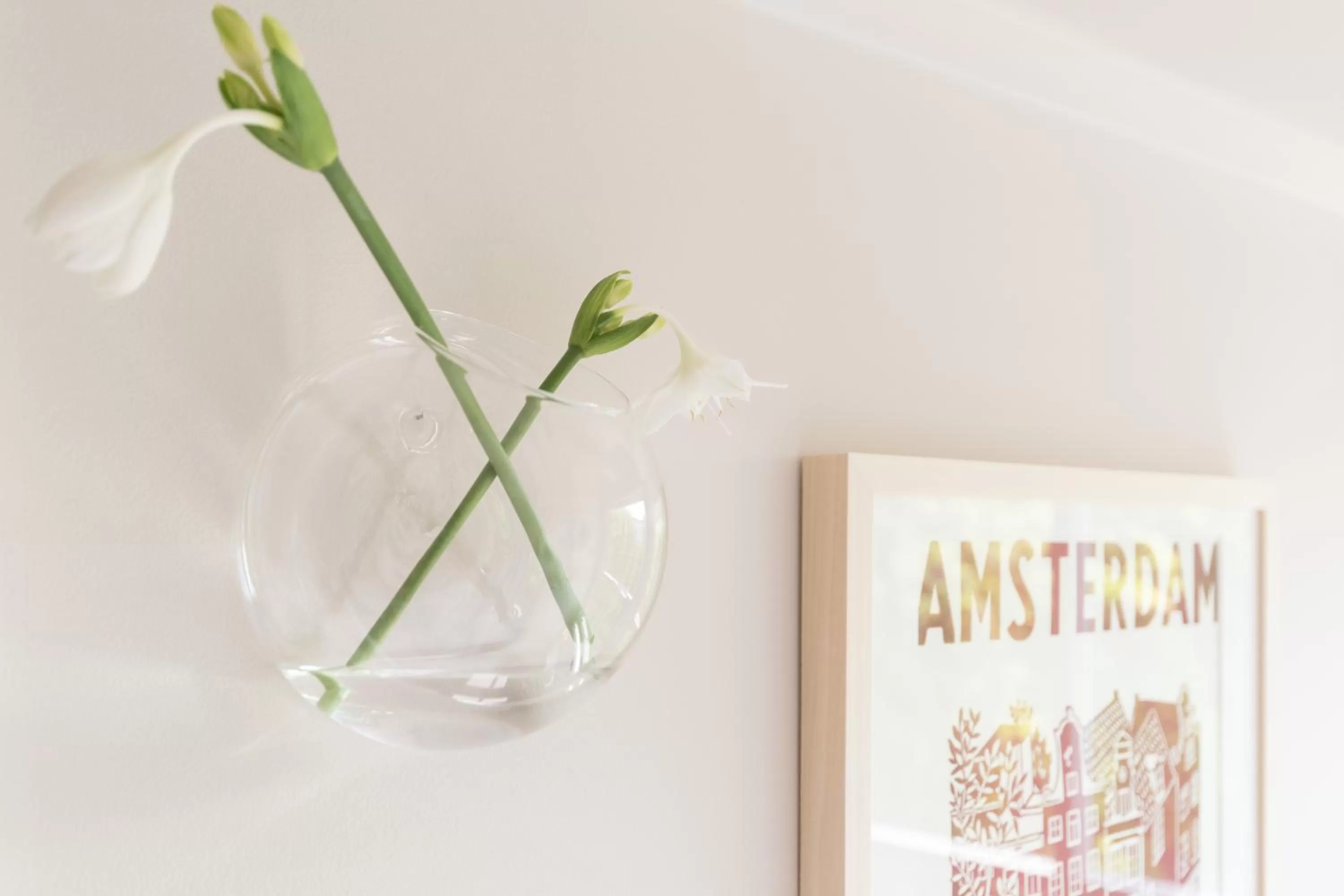 Empire suites garden view