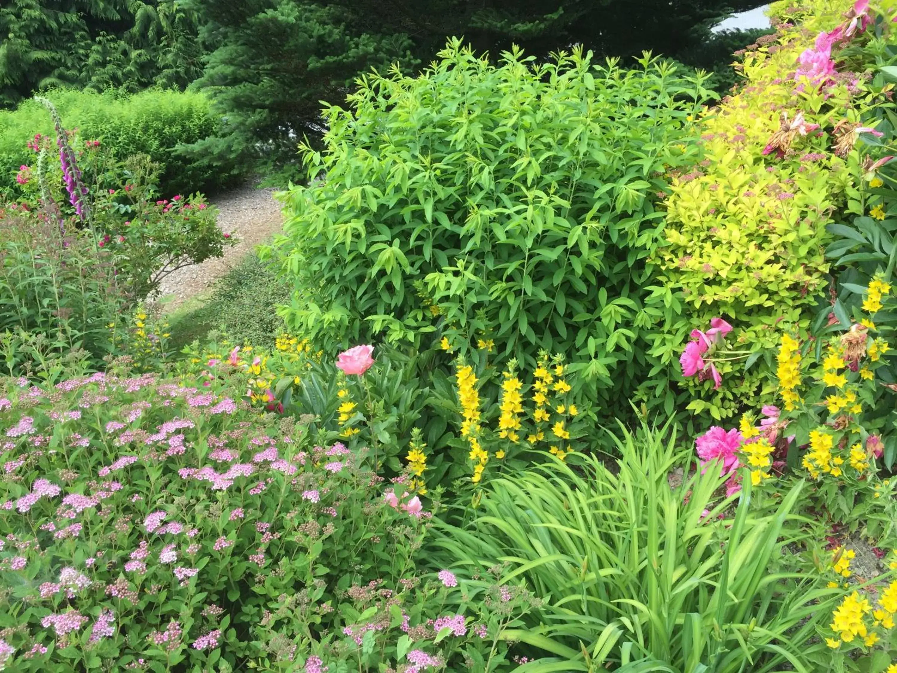 Garden in Le Manoir Au Lac