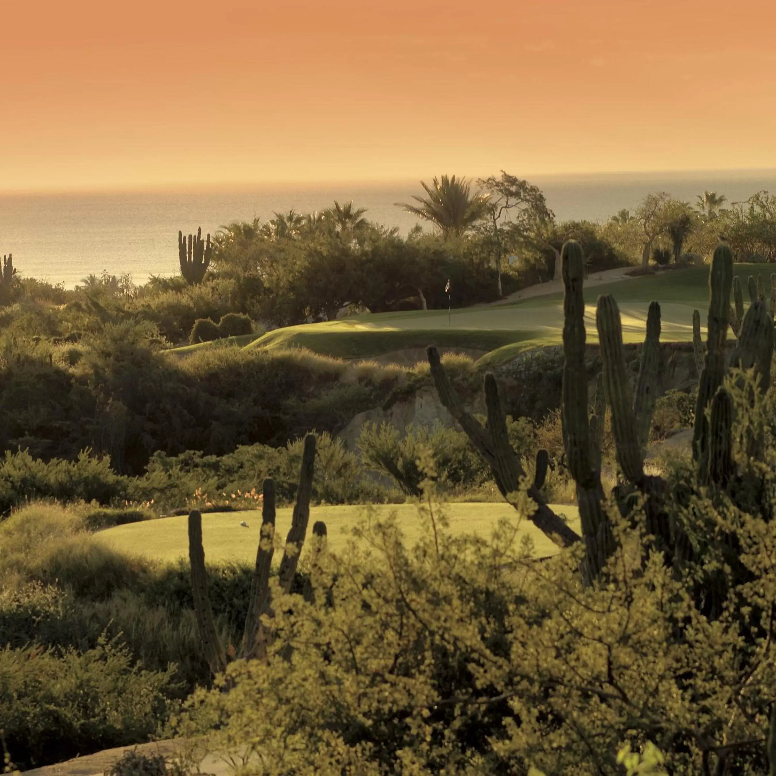 Natural landscape, Sunrise/Sunset in One&Only Palmilla