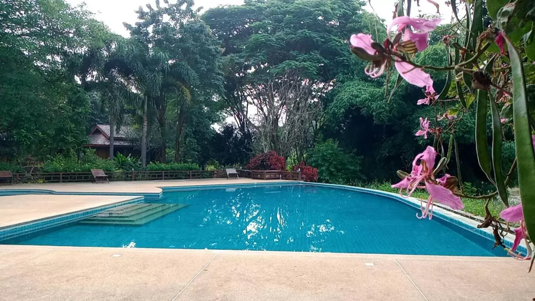 Swimming Pool in Baan Krating Pai Resort - SHA Plus
