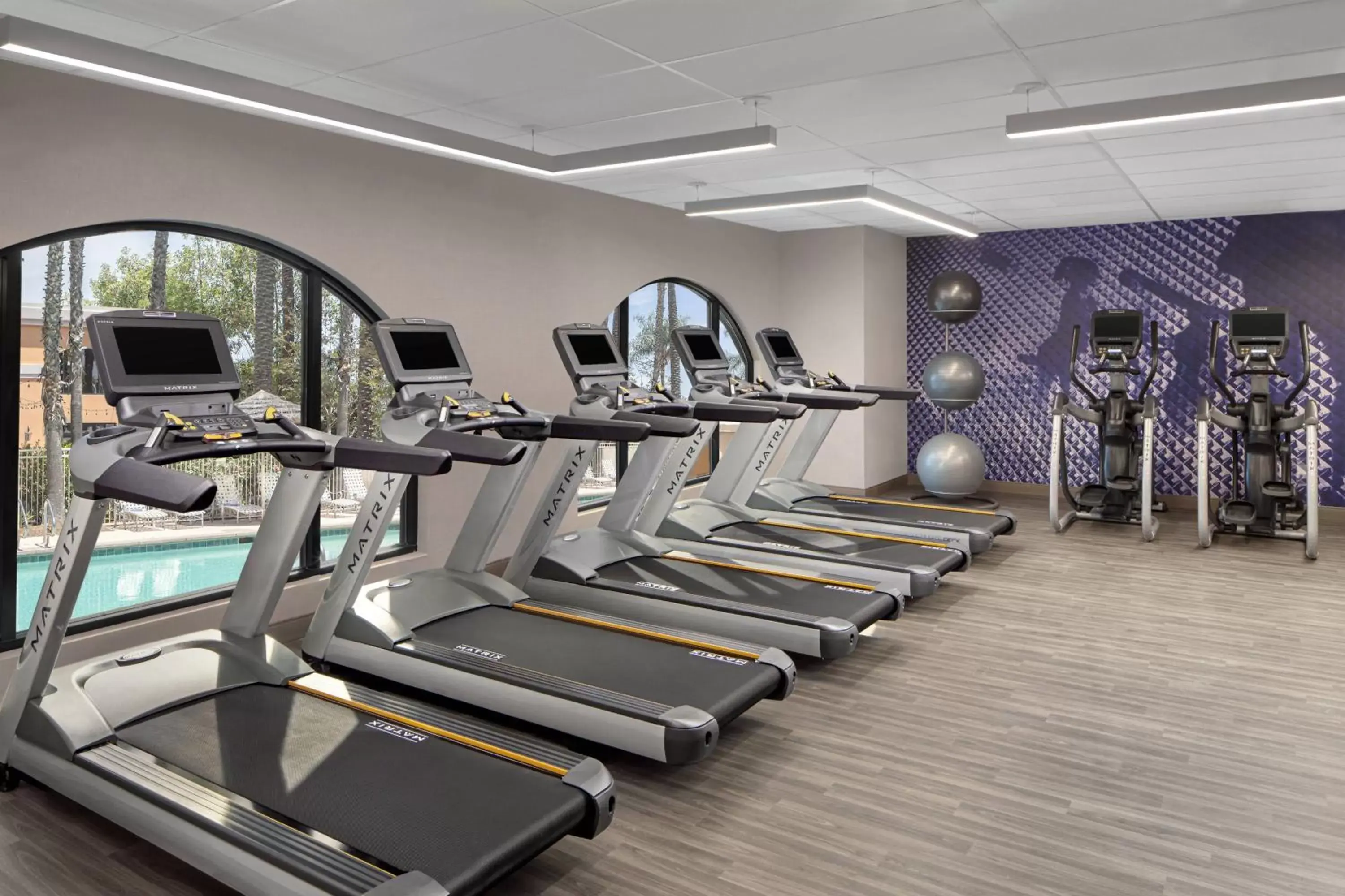 Fitness centre/facilities, Fitness Center/Facilities in Delta Hotels by Marriott Anaheim Garden Grove