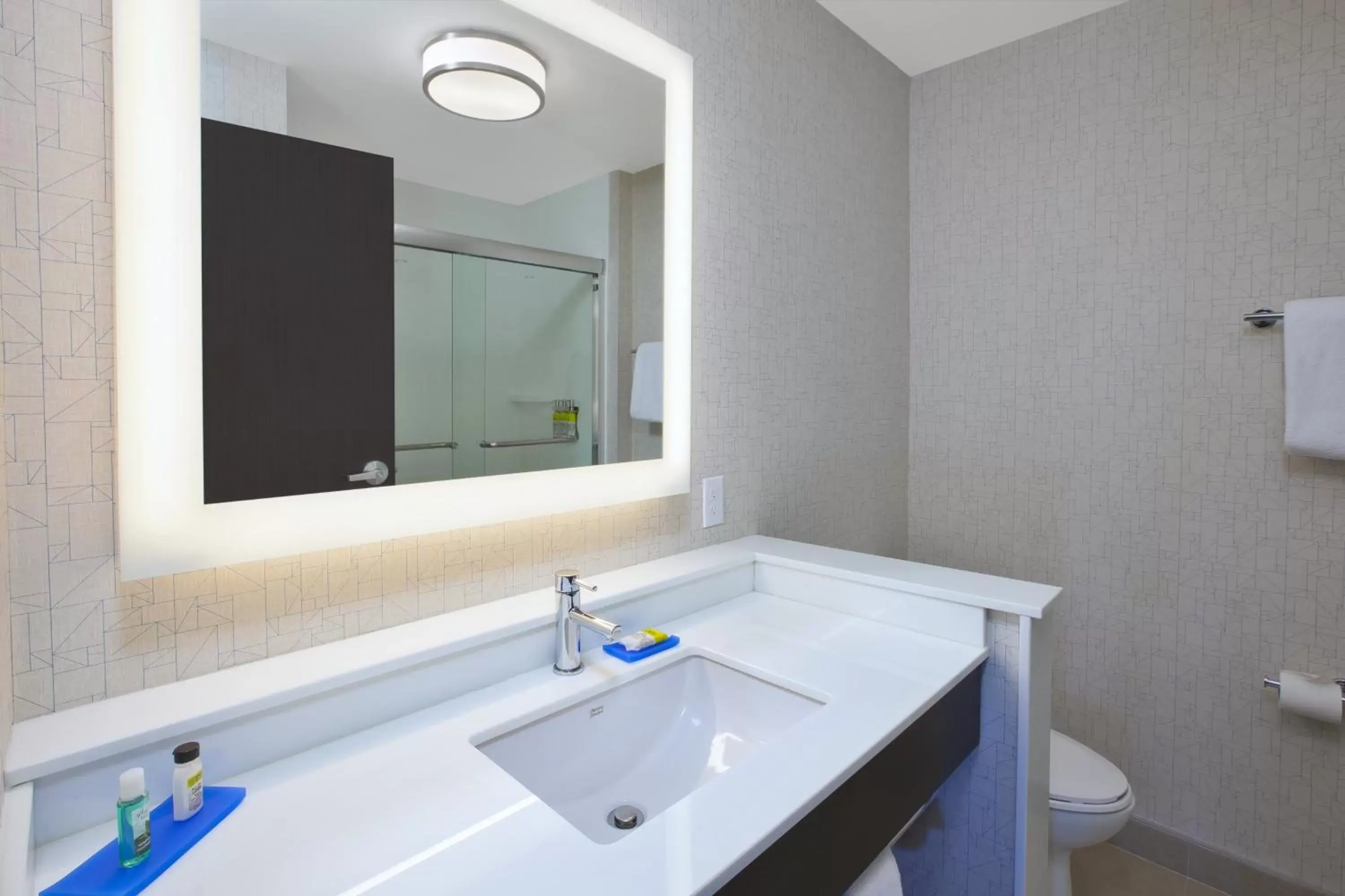 Bathroom in Holiday Inn Express - Auburn Hills South, an IHG Hotel