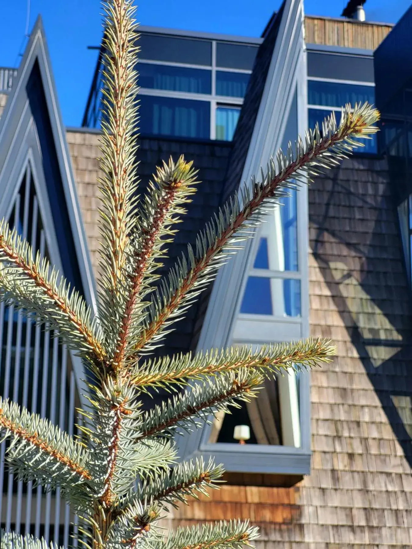 Property building in Pino Nature Hotel, BW Premier Collection Property building in Pino Nature Hotel, BW Premier Collection