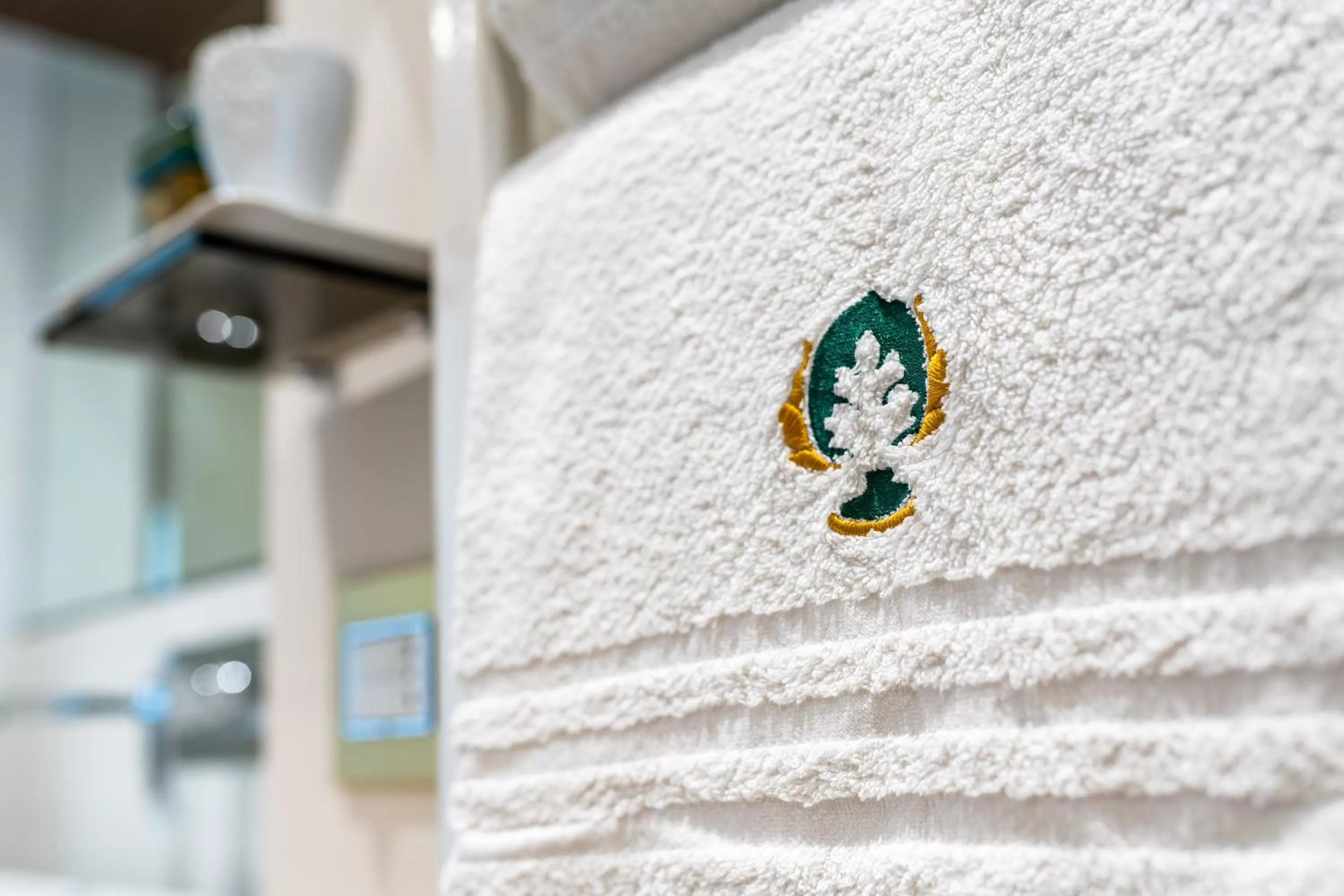 Shower in Palazzo Scotto