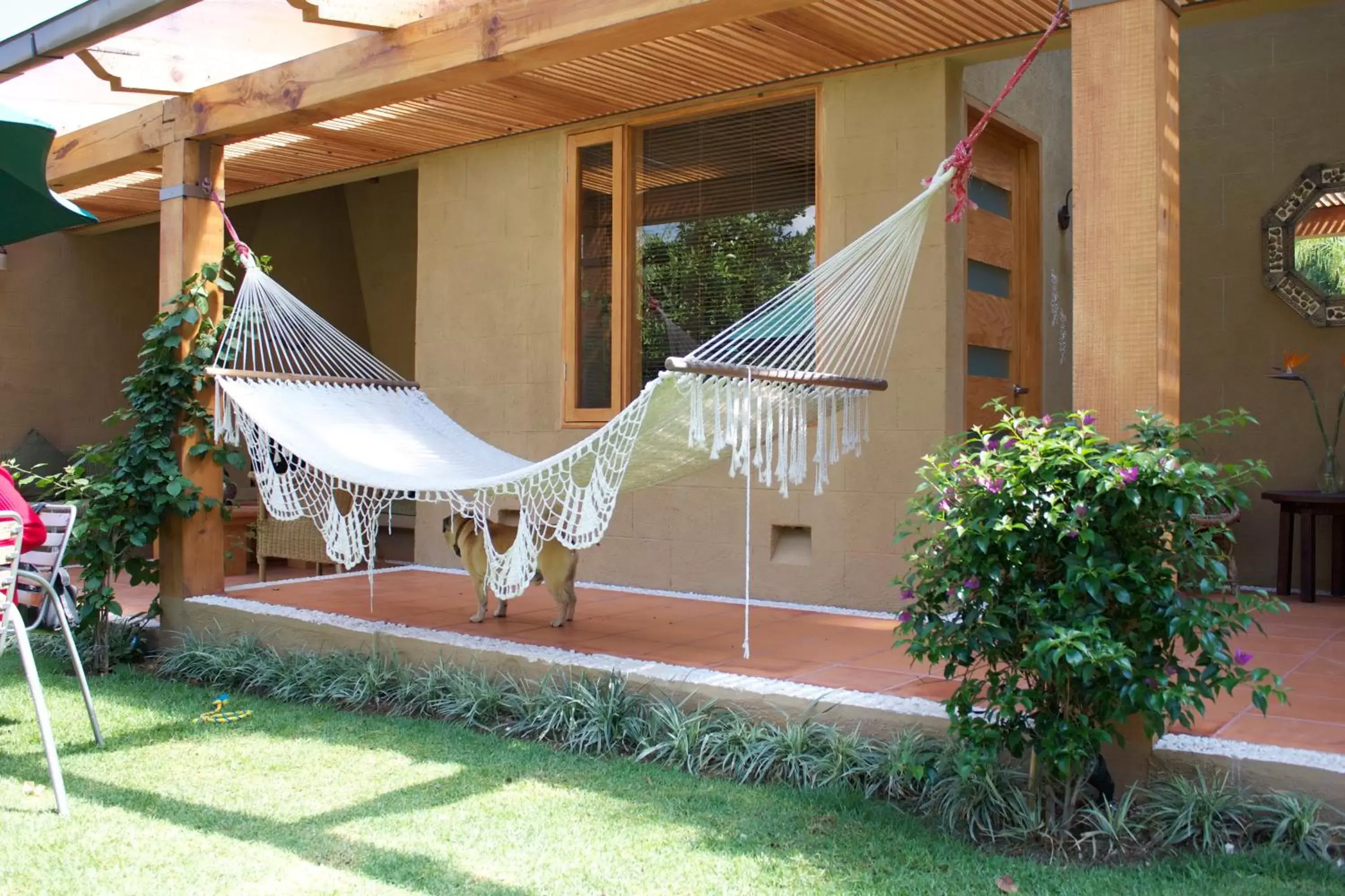 Garden in La Joya del Viento