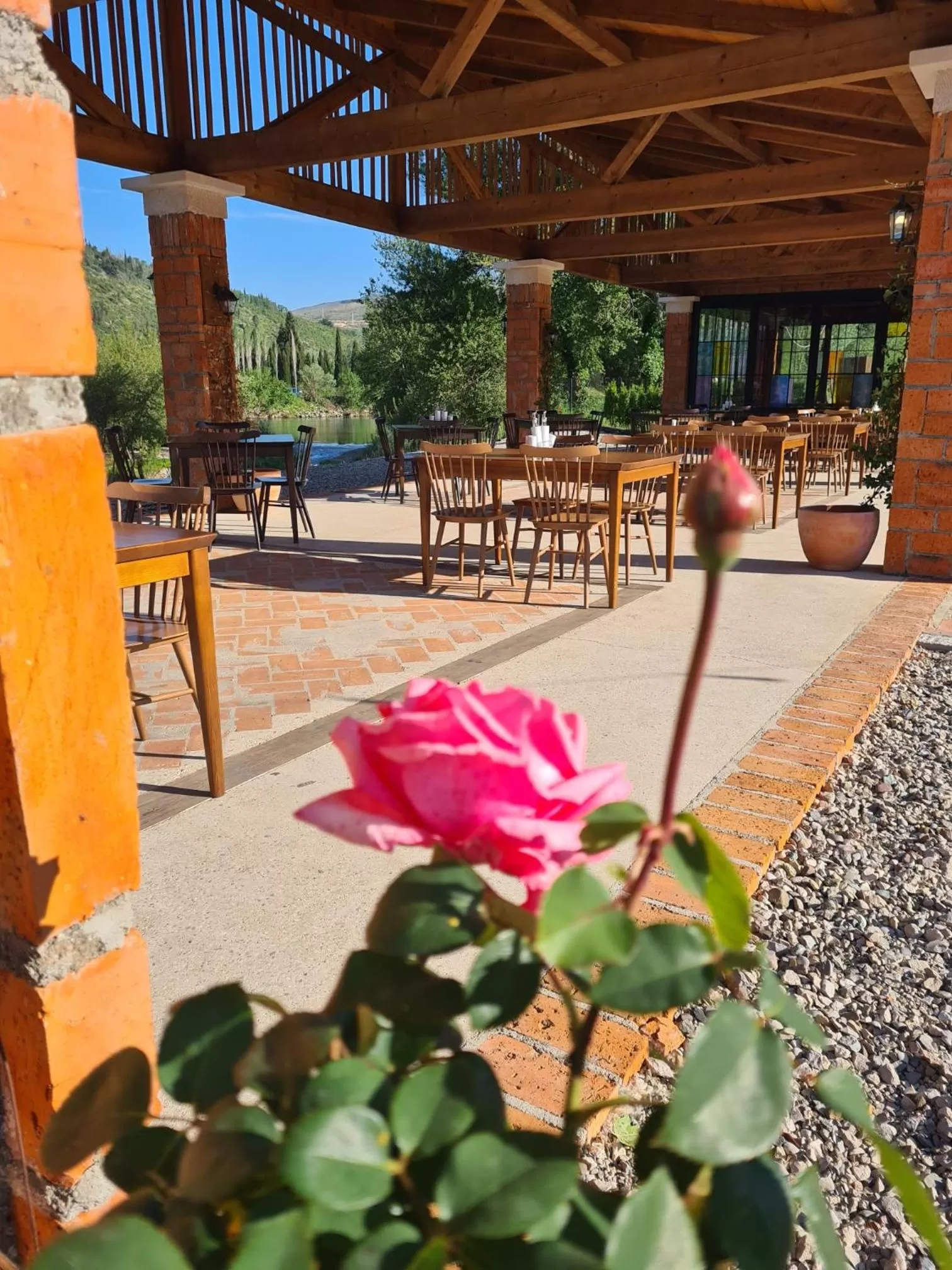 Restaurant/places to eat in Hotel Storia